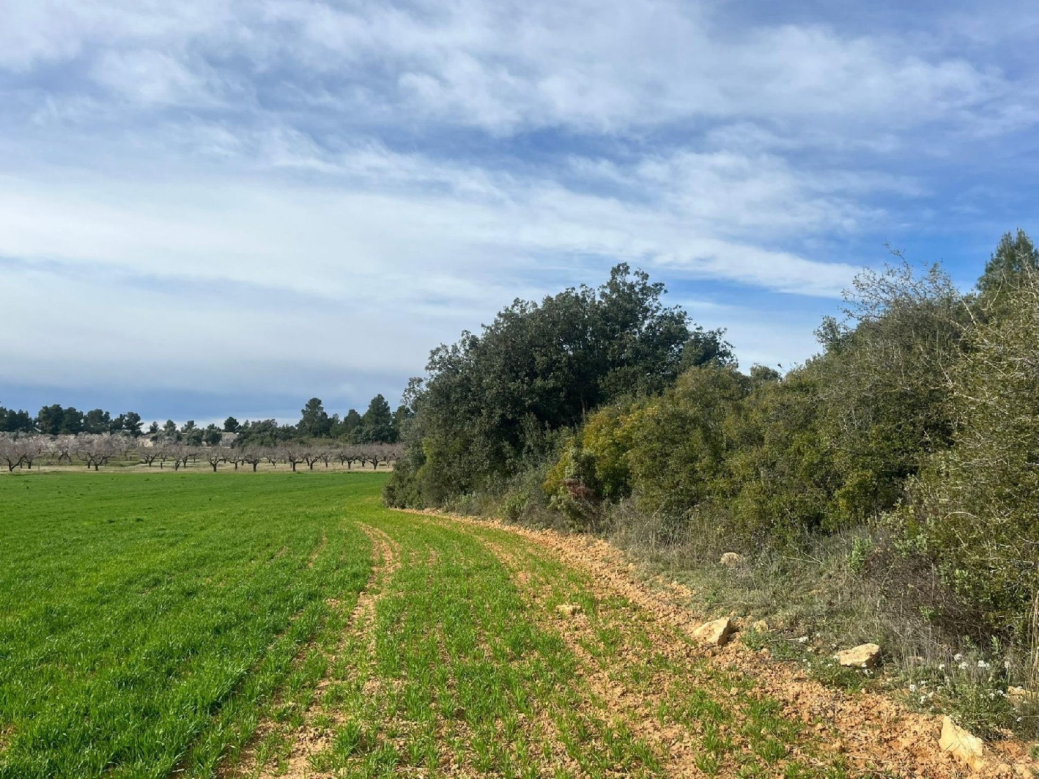  for sale country house Calaceite Matarraña 4