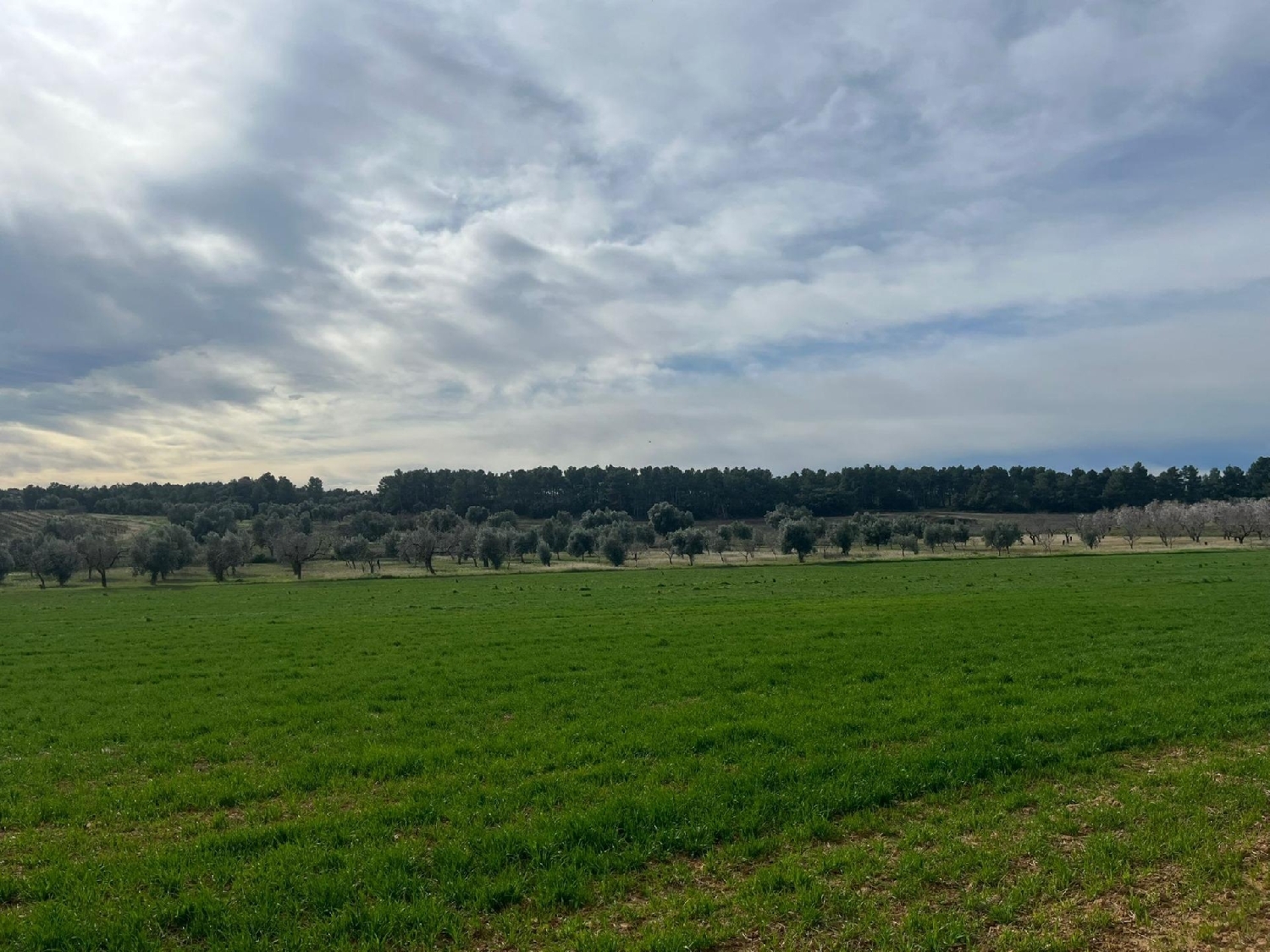  for sale country house Calaceite Matarraña 6