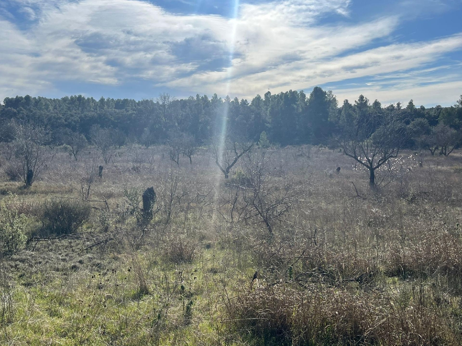  for sale country house Calaceite Matarraña 5