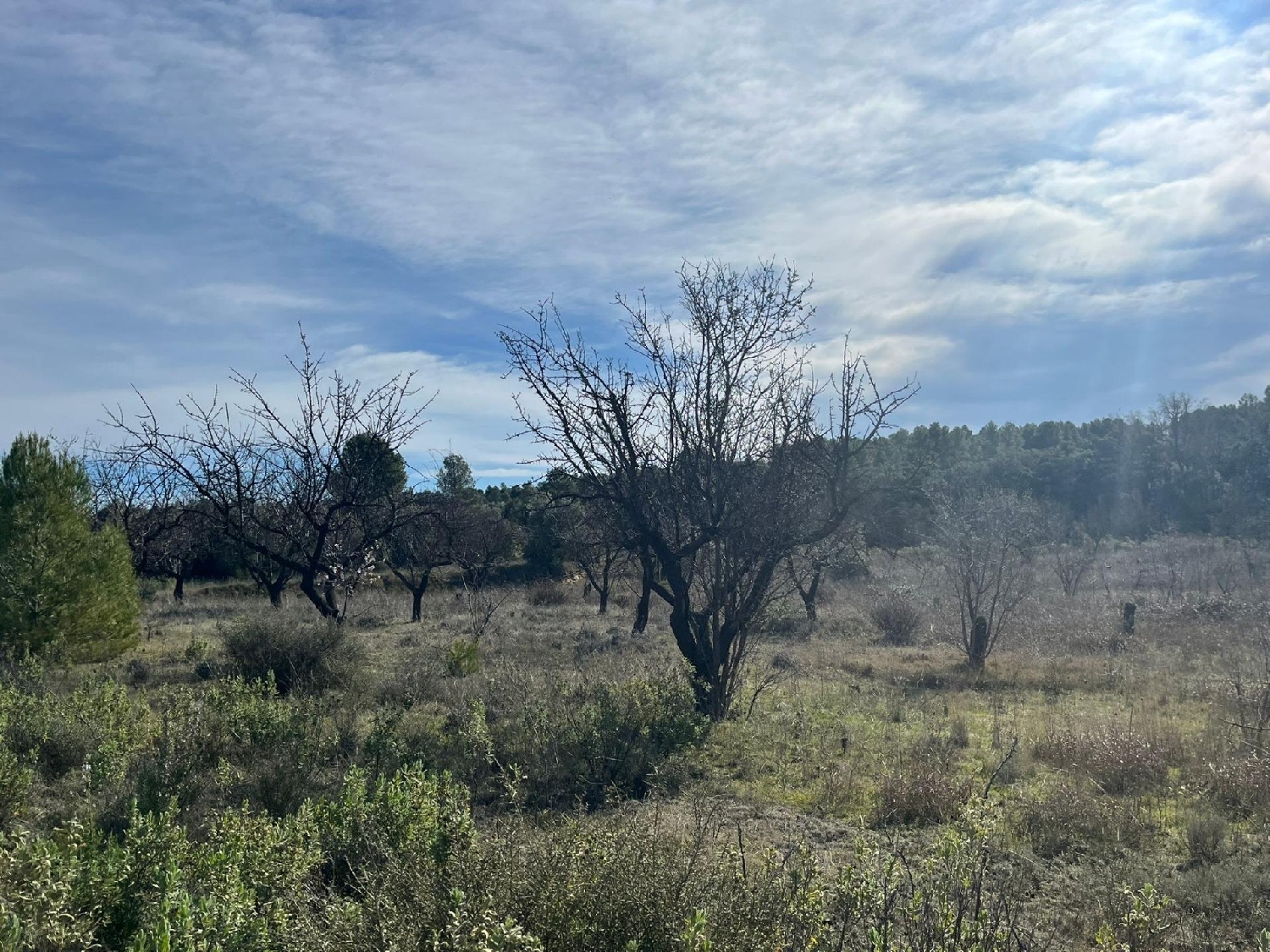  for sale country house Calaceite Matarraña 4