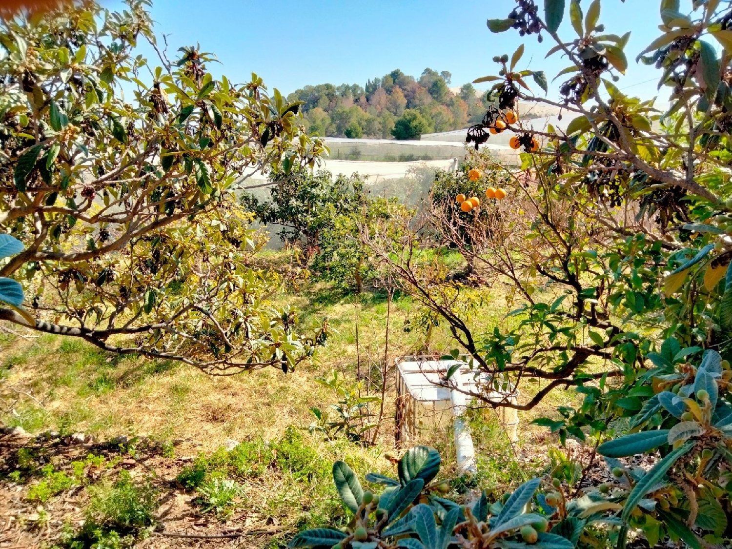  for sale country house Calpe Marina Alta 11