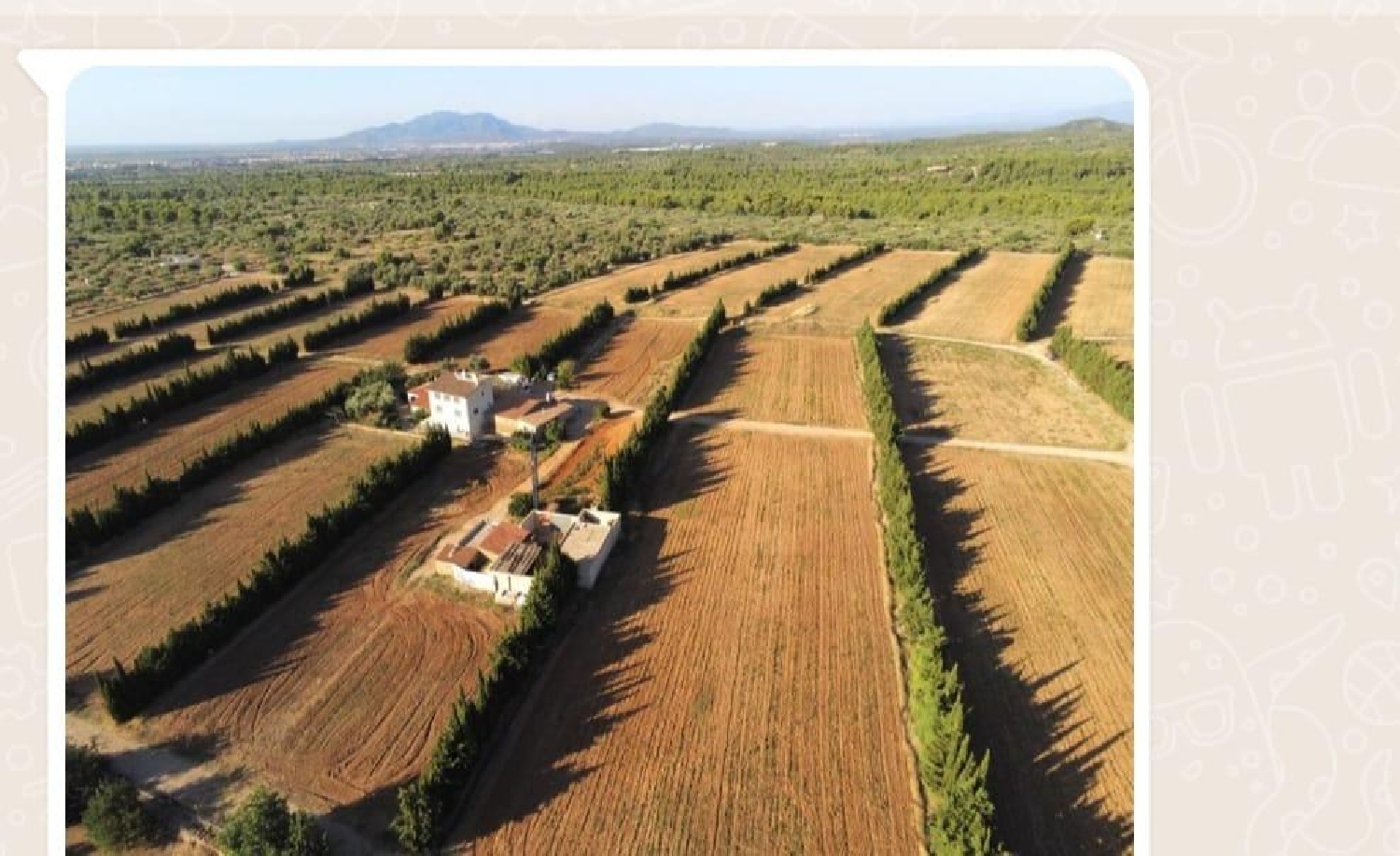  en venta finca rústica Camarles Baix Ebre 5