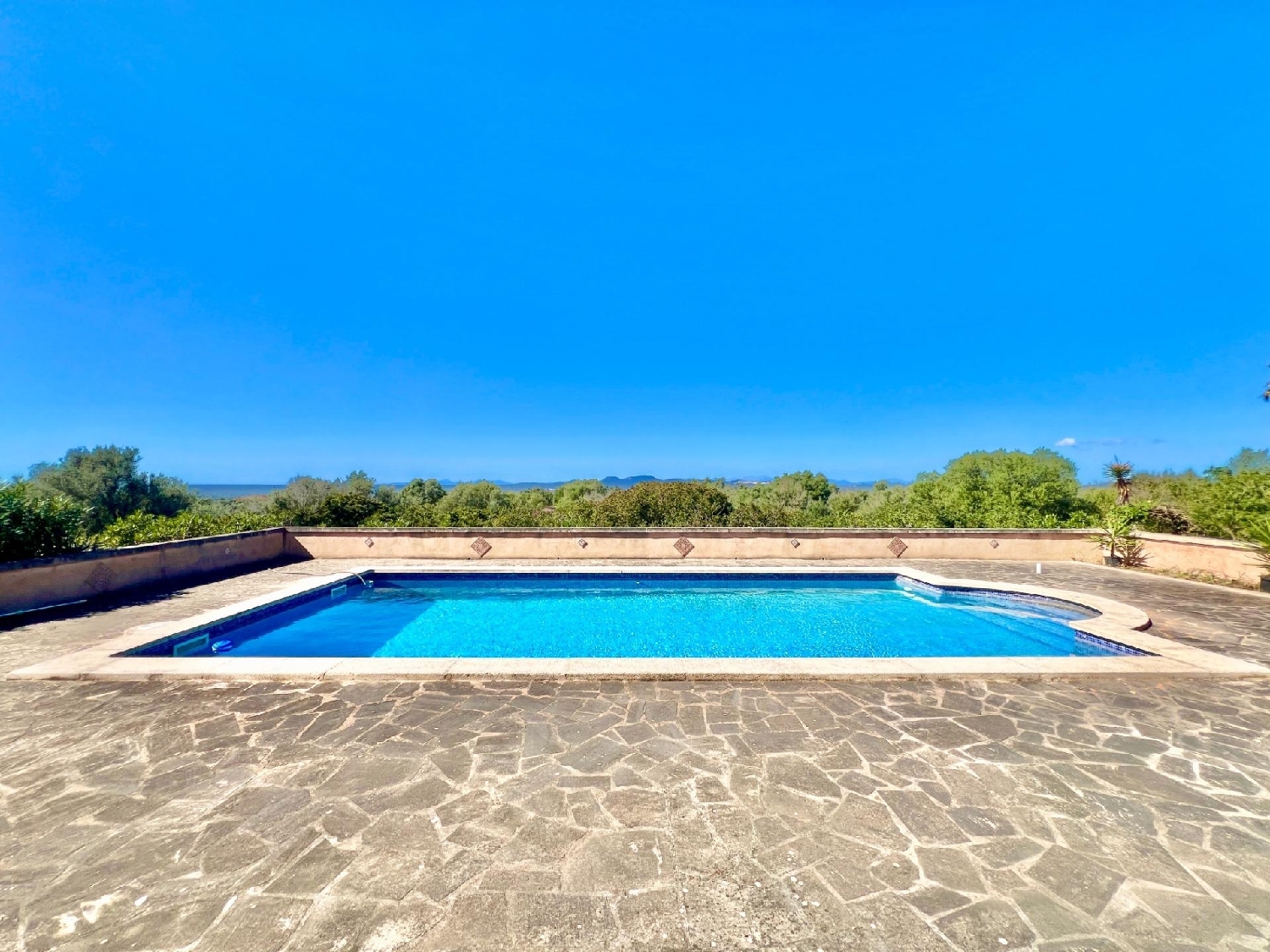  en venta finca rústica Campos Sud 6