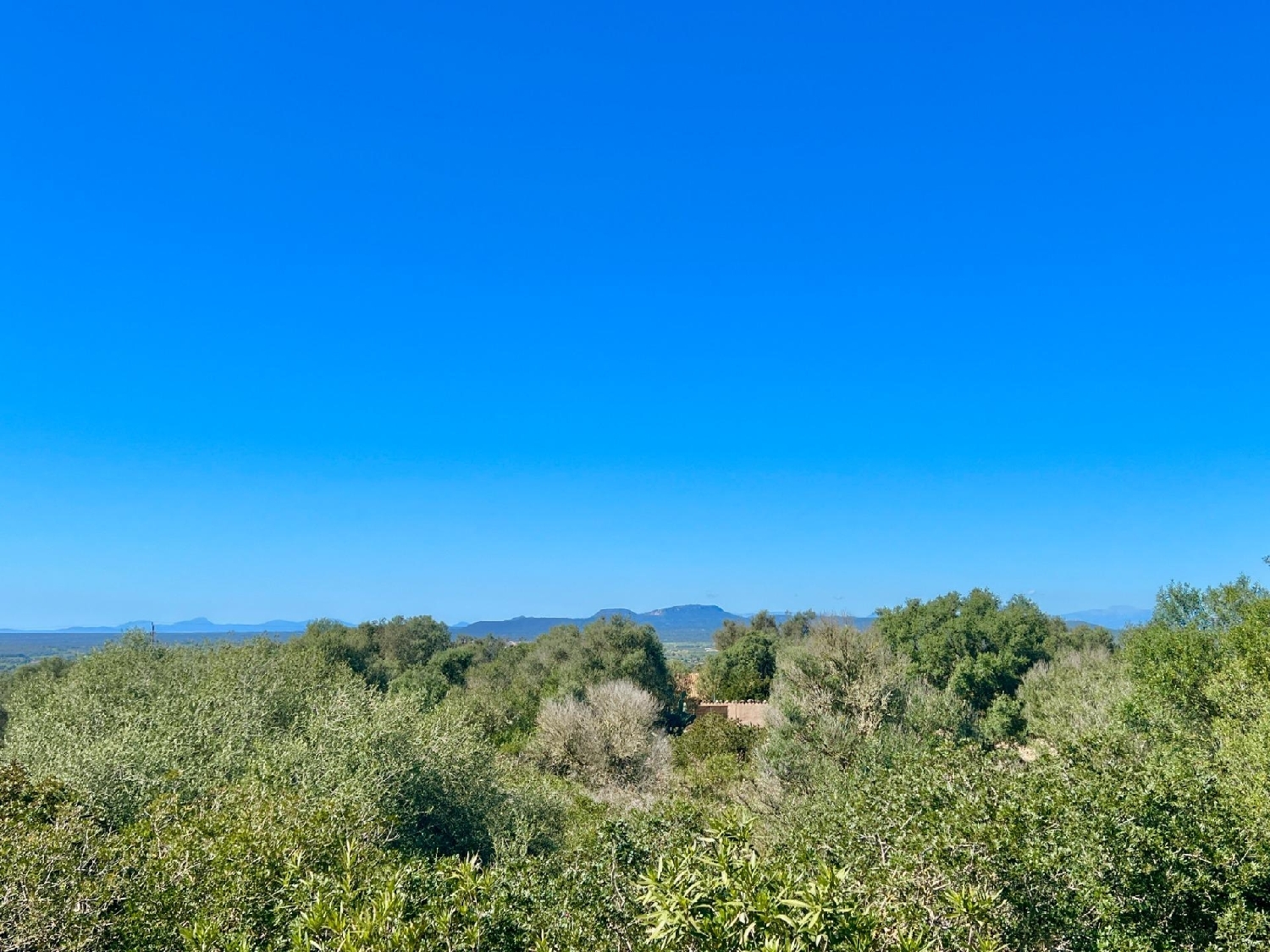  en venta finca rústica Campos Sud 4