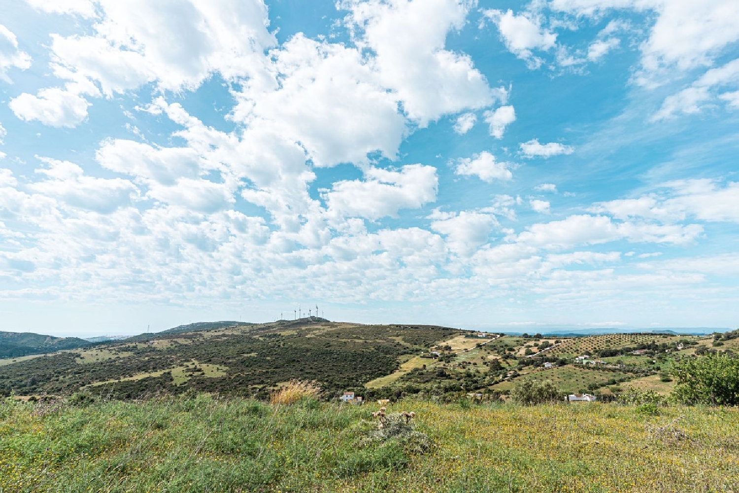  à vendre maison de campagne Casares Tierra De Mellid 4