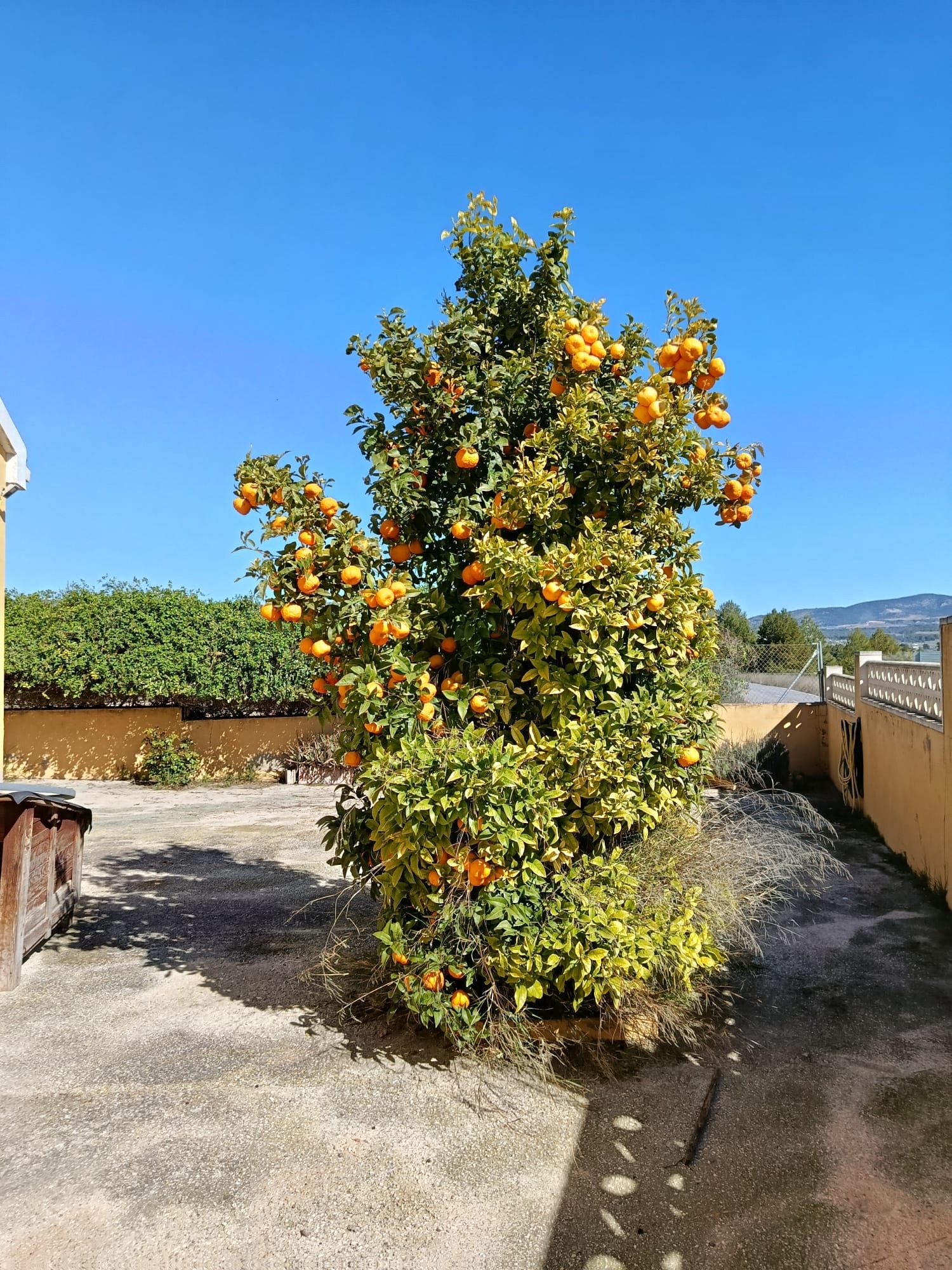  till salu hus på landet Castalla Alcoia 2