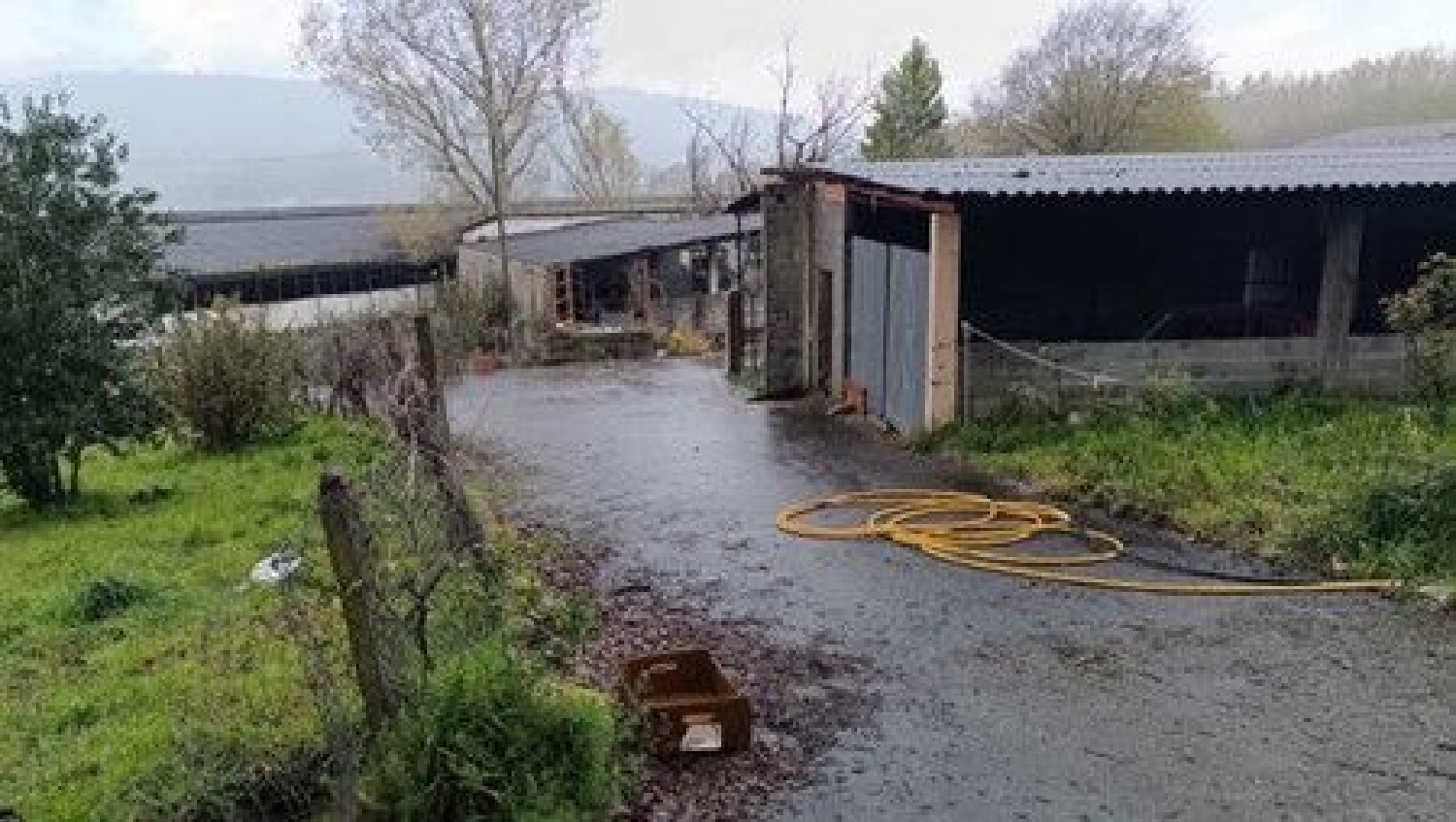  te koop boerderij Celanova Terra Da Celanova 3