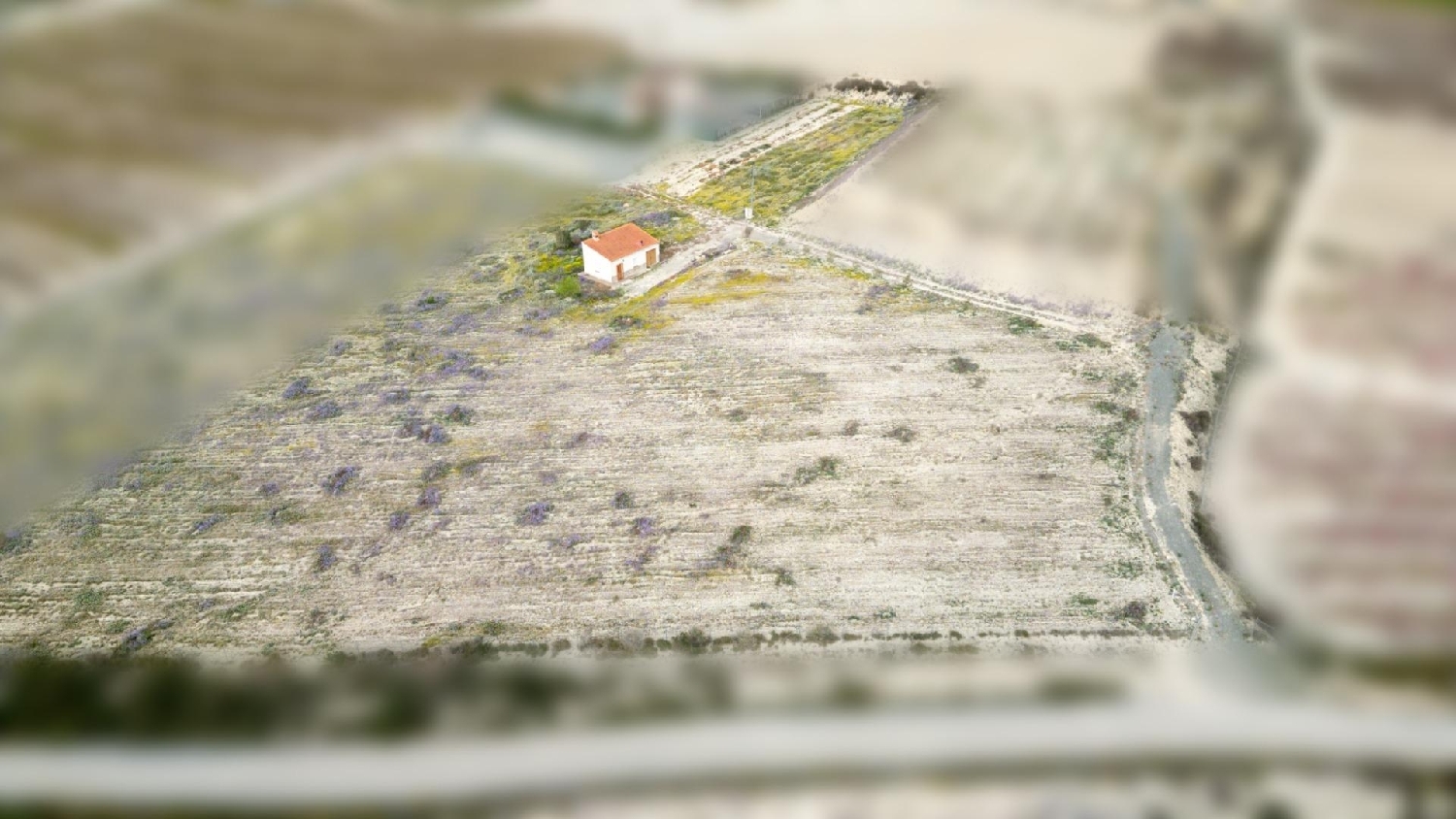  till salu hus på landet Cieza Vega Alta Del Segura 3