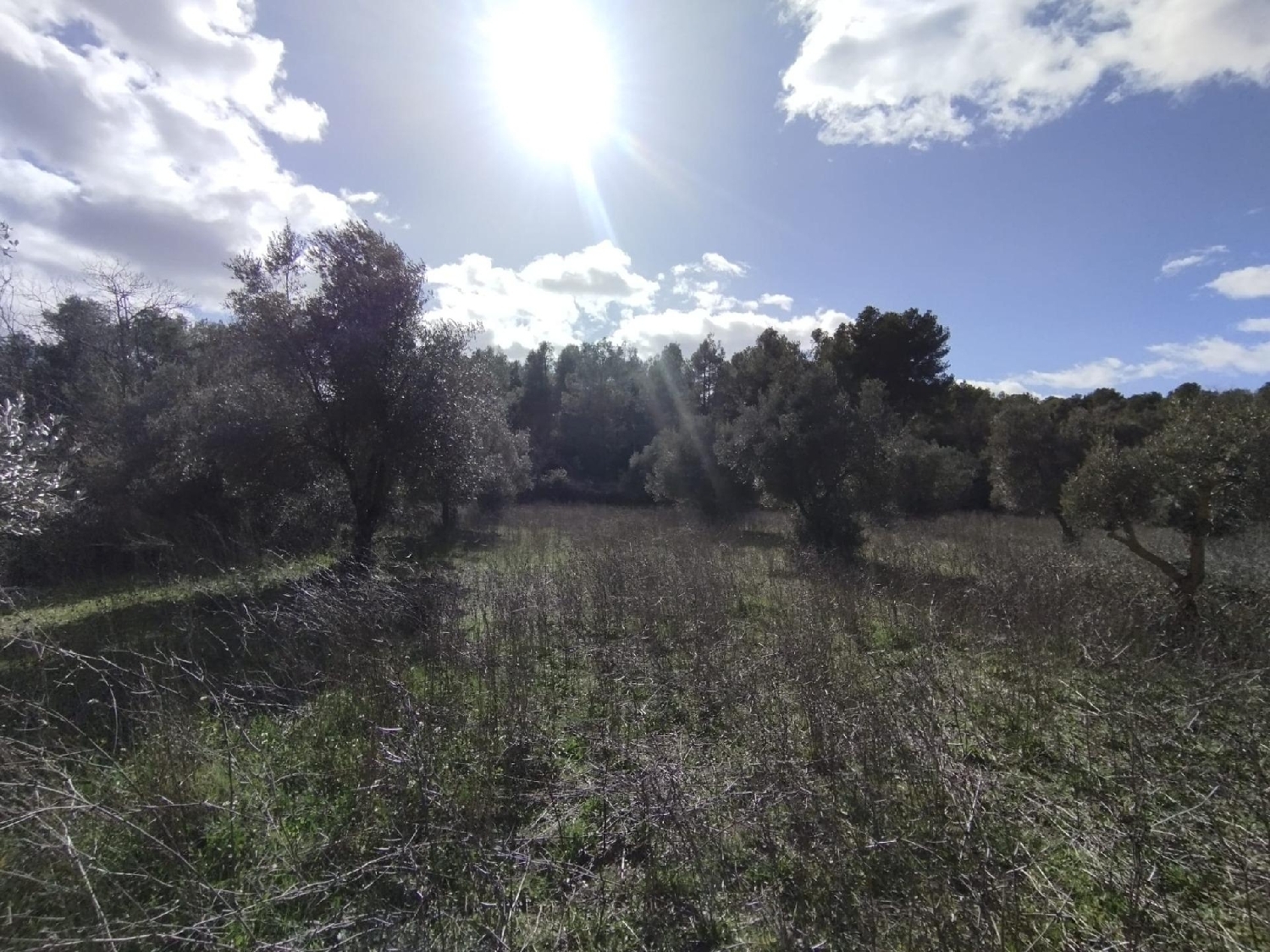 en venta finca rústica Corballedo Órdenes 4