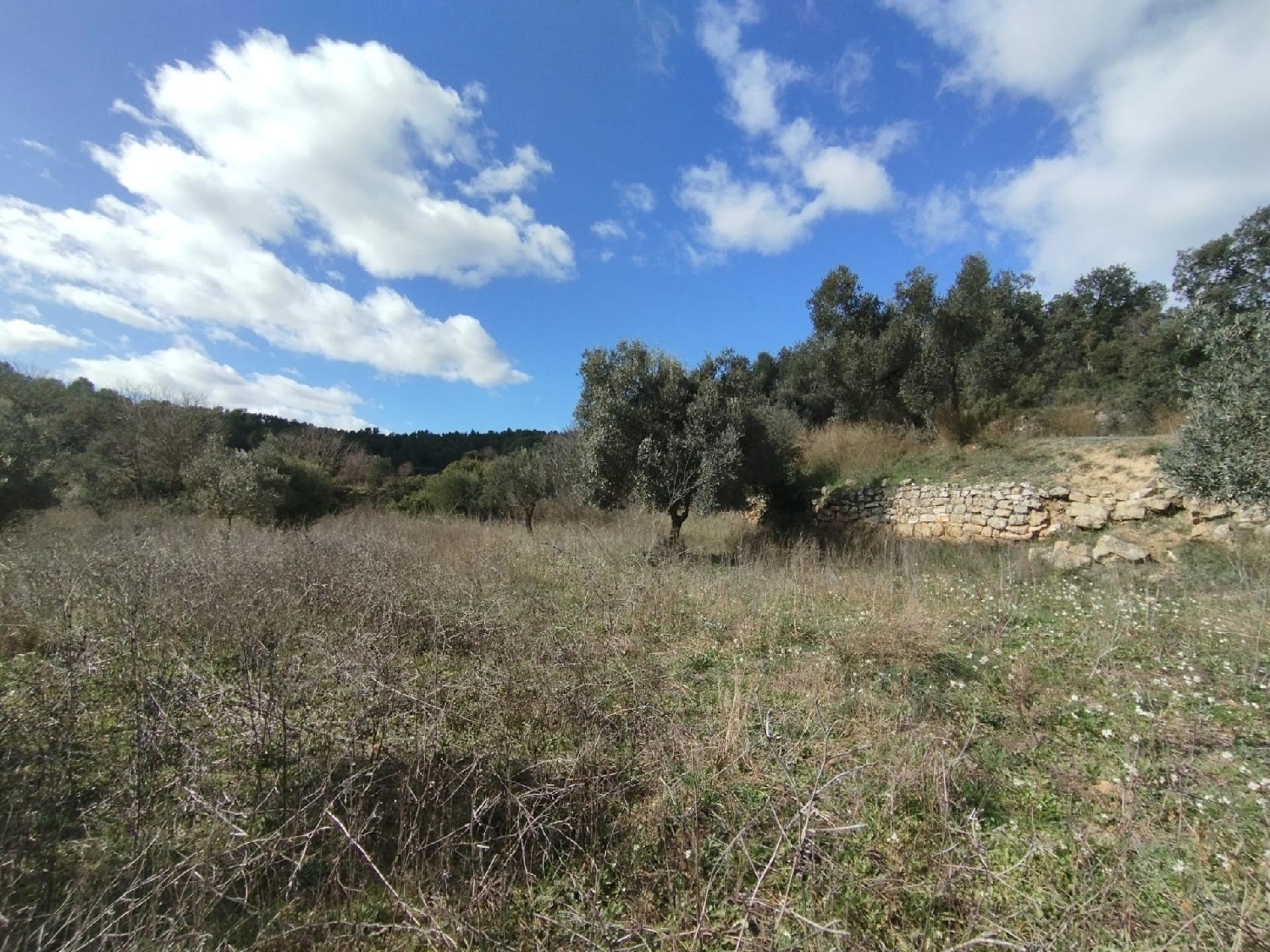  en venta finca rústica Corballedo Órdenes 6