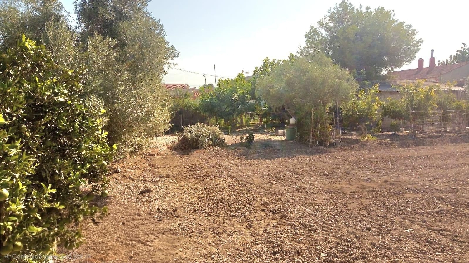  kaufen Landhaus Dolores Baix Segura 8