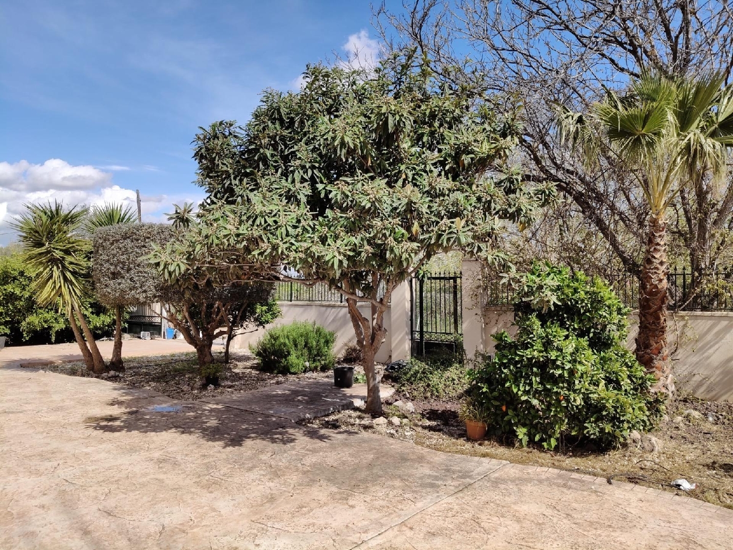  à vendre maison de campagne El Palmar Janda (La) 6