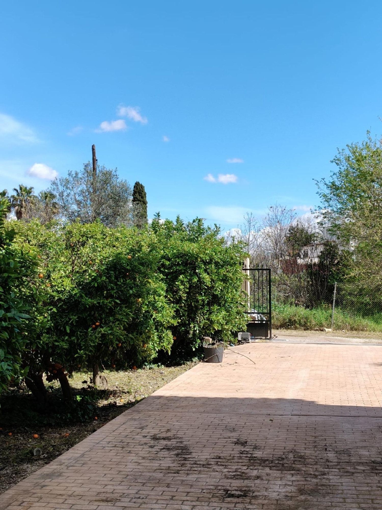  à vendre maison de campagne El Palmar Janda (La) 7