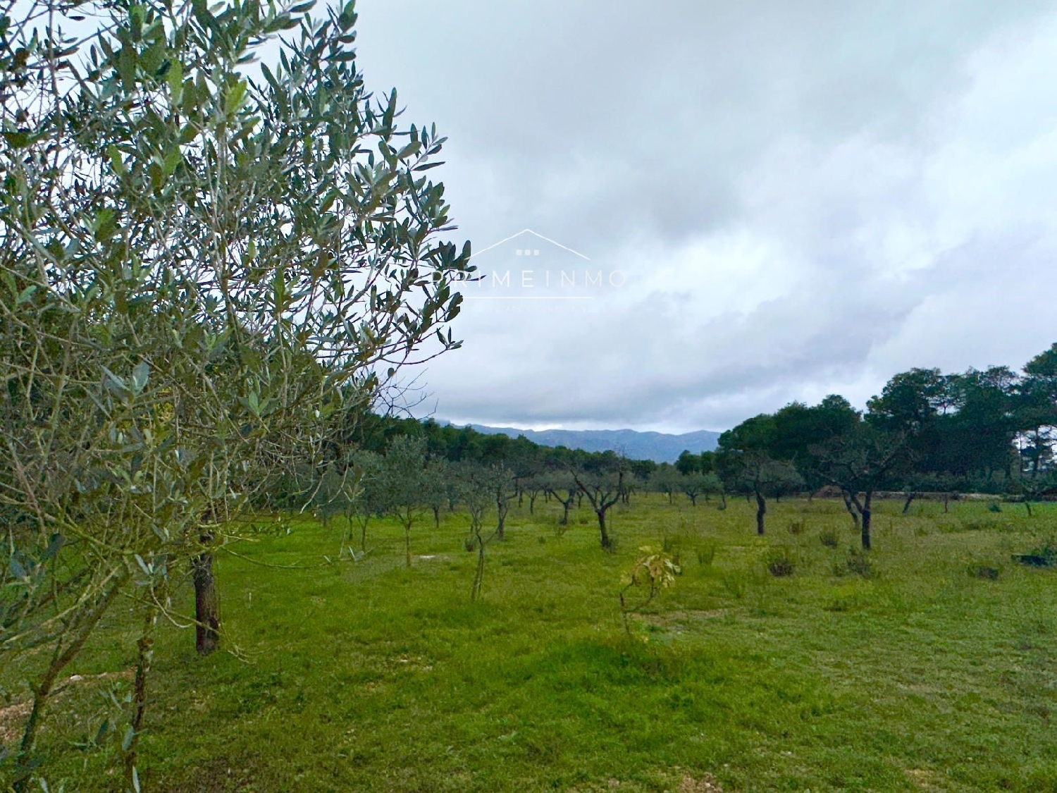  à vendre maison de campagne El Perelló Baix Ebre 16