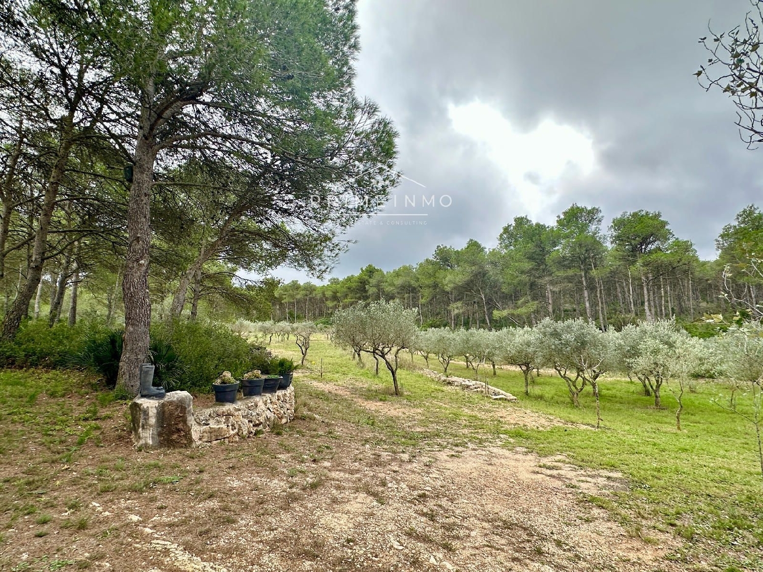 à vendre maison de campagne El Perelló Baix Ebre 4