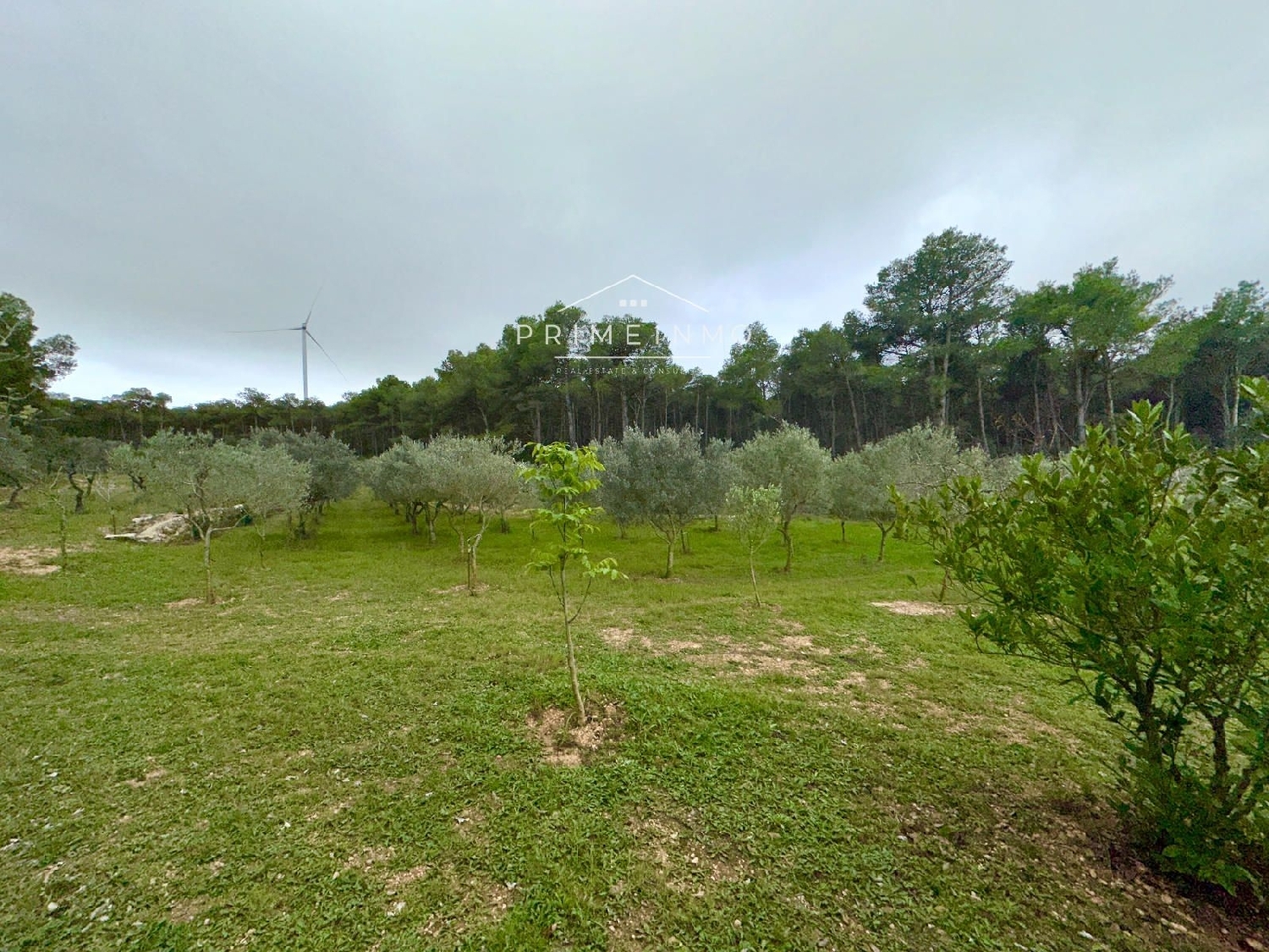  à vendre maison de campagne El Perelló Baix Ebre 15