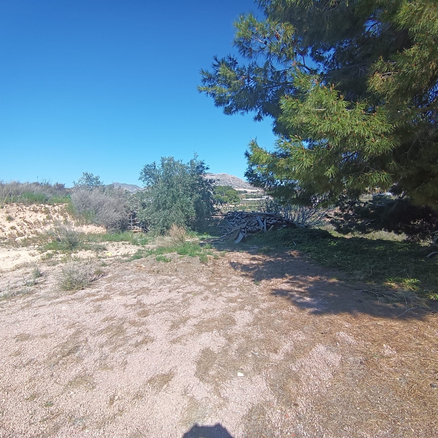  for sale country house Elda Vinalopó Mitjà 39