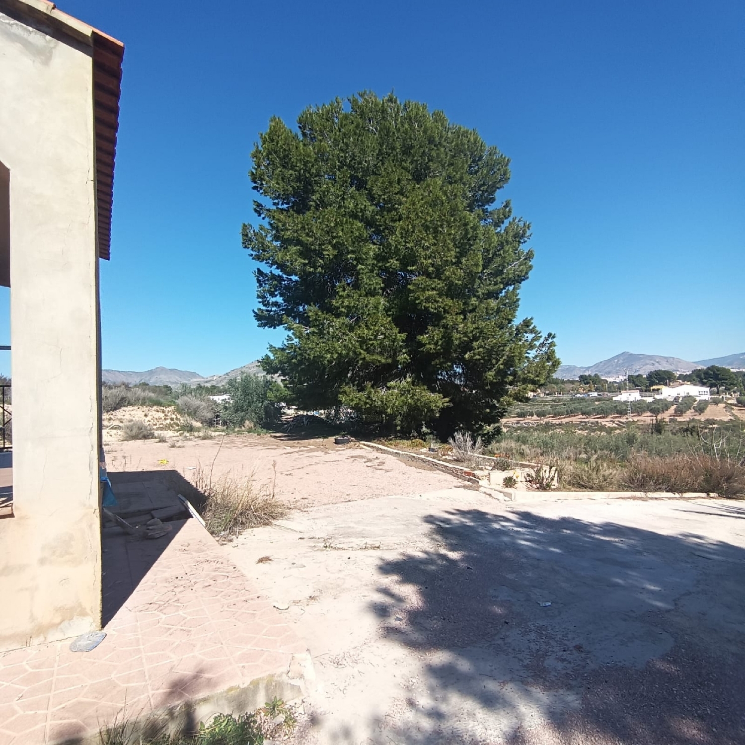  for sale country house Elda Vinalopó Mitjà 35