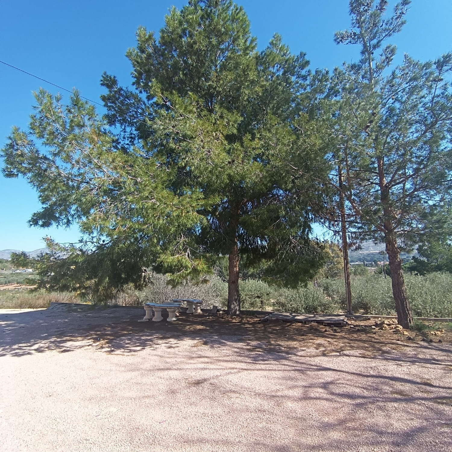  for sale country house Elda Vinalopó Mitjà 31