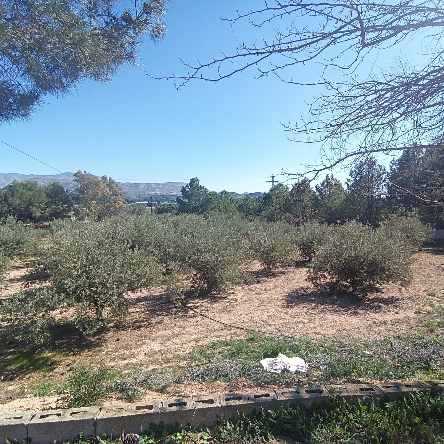  for sale country house Elda Vinalopó Mitjà 28