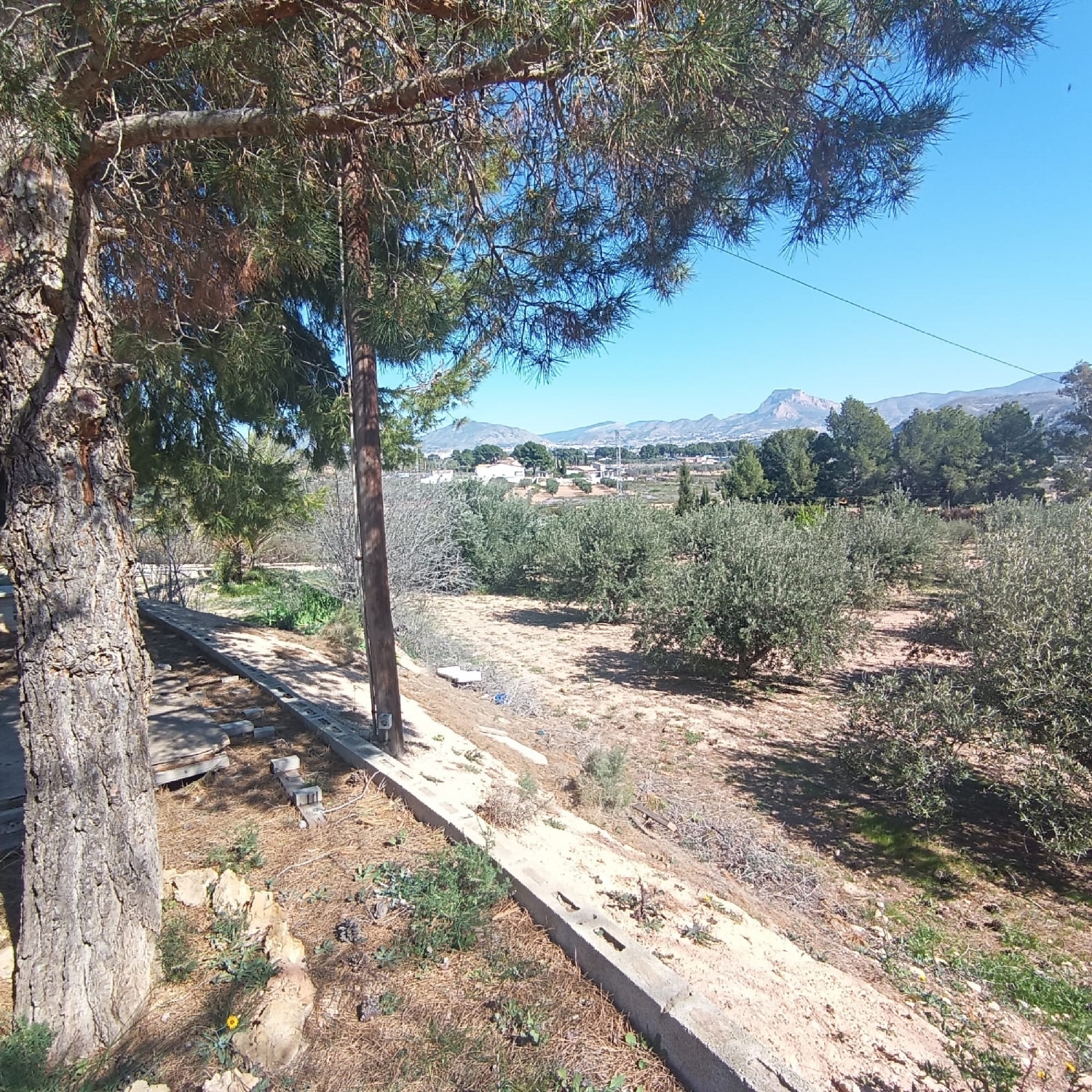  for sale country house Elda Vinalopó Mitjà 32