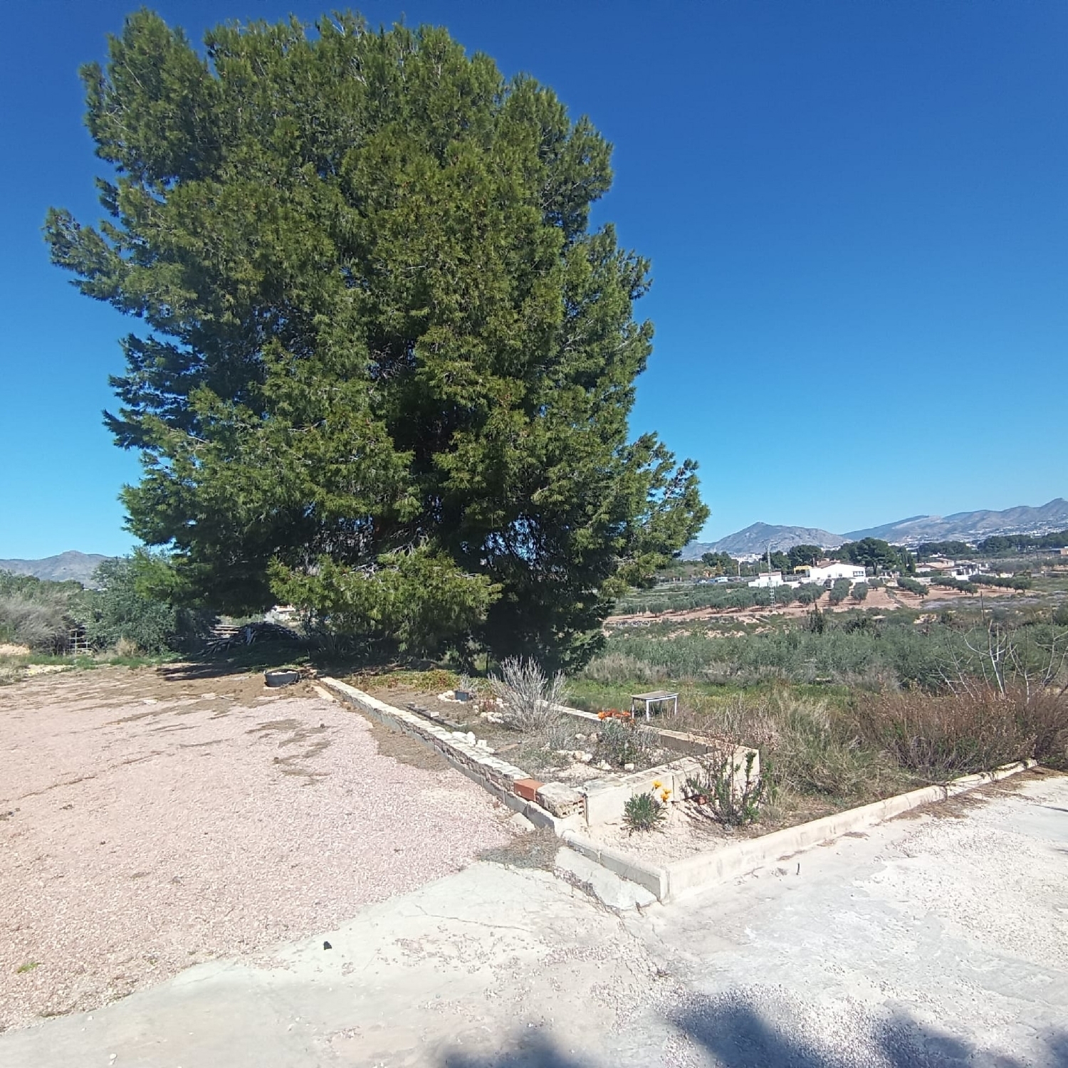  for sale country house Elda Vinalopó Mitjà 33