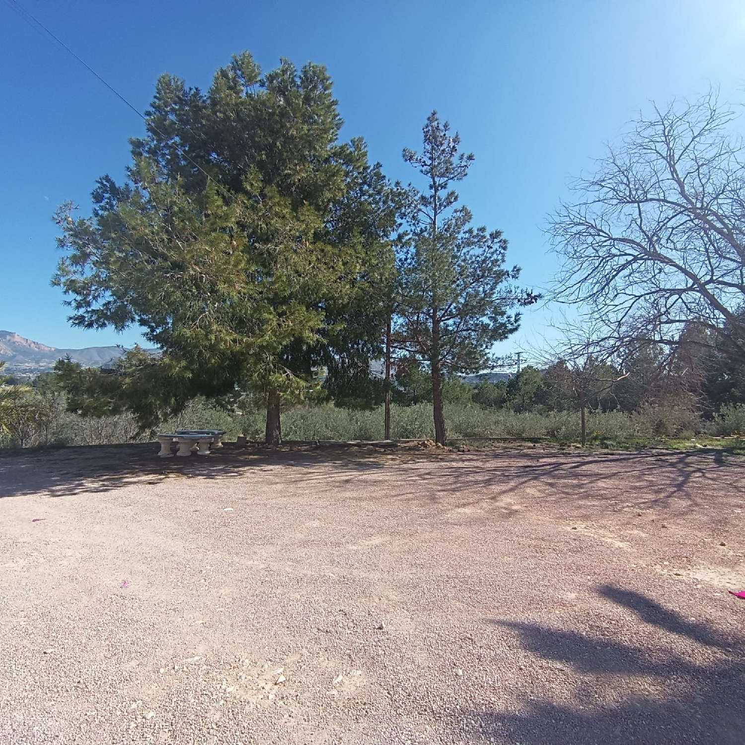  for sale country house Elda Vinalopó Mitjà 29