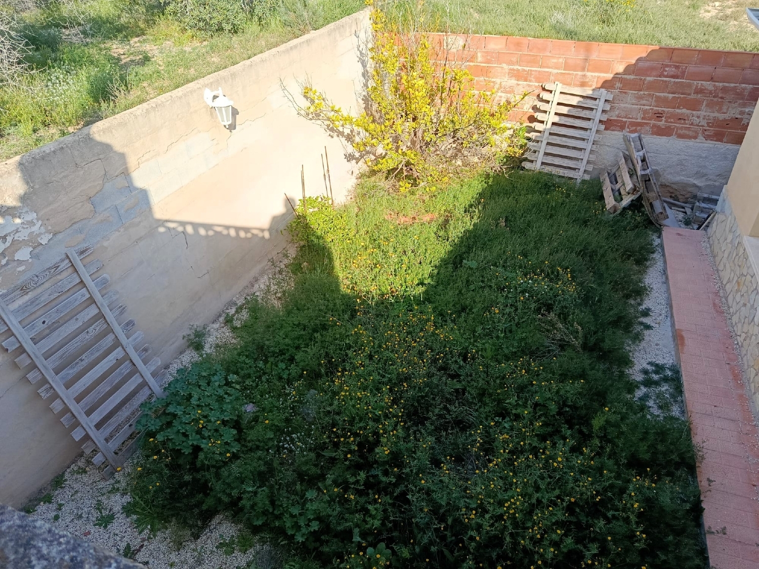  for sale country house Elda Vinalopó Mitjà 10