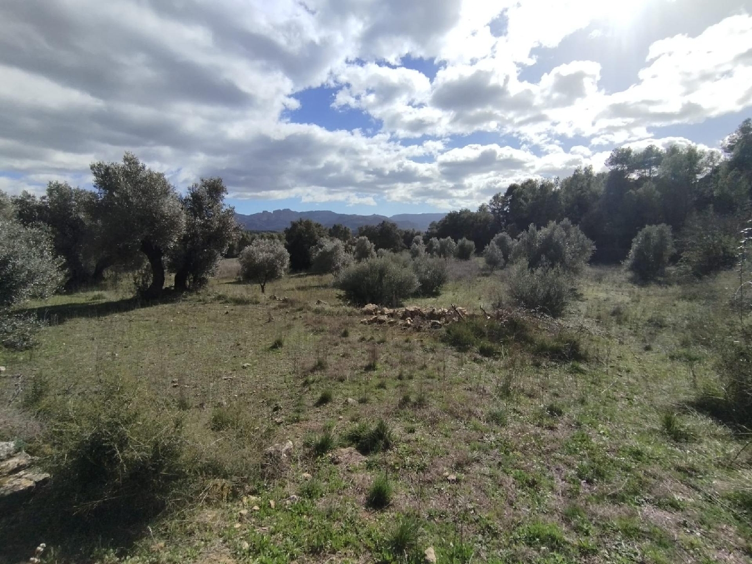  en venta finca rústica Corballedo Órdenes 2