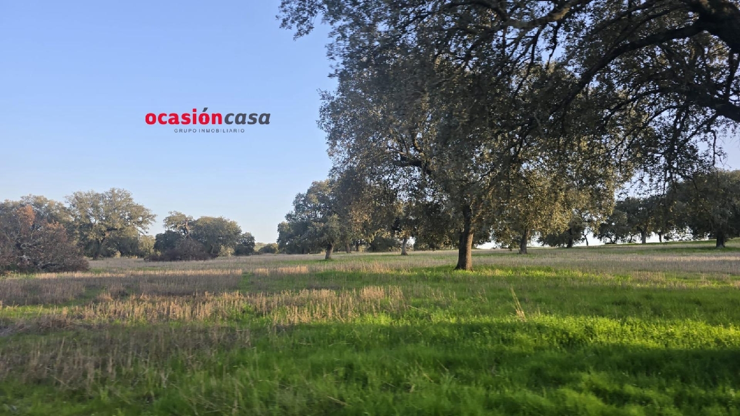  for sale country house Fuente Obejuna Valle Del Guadiato 3