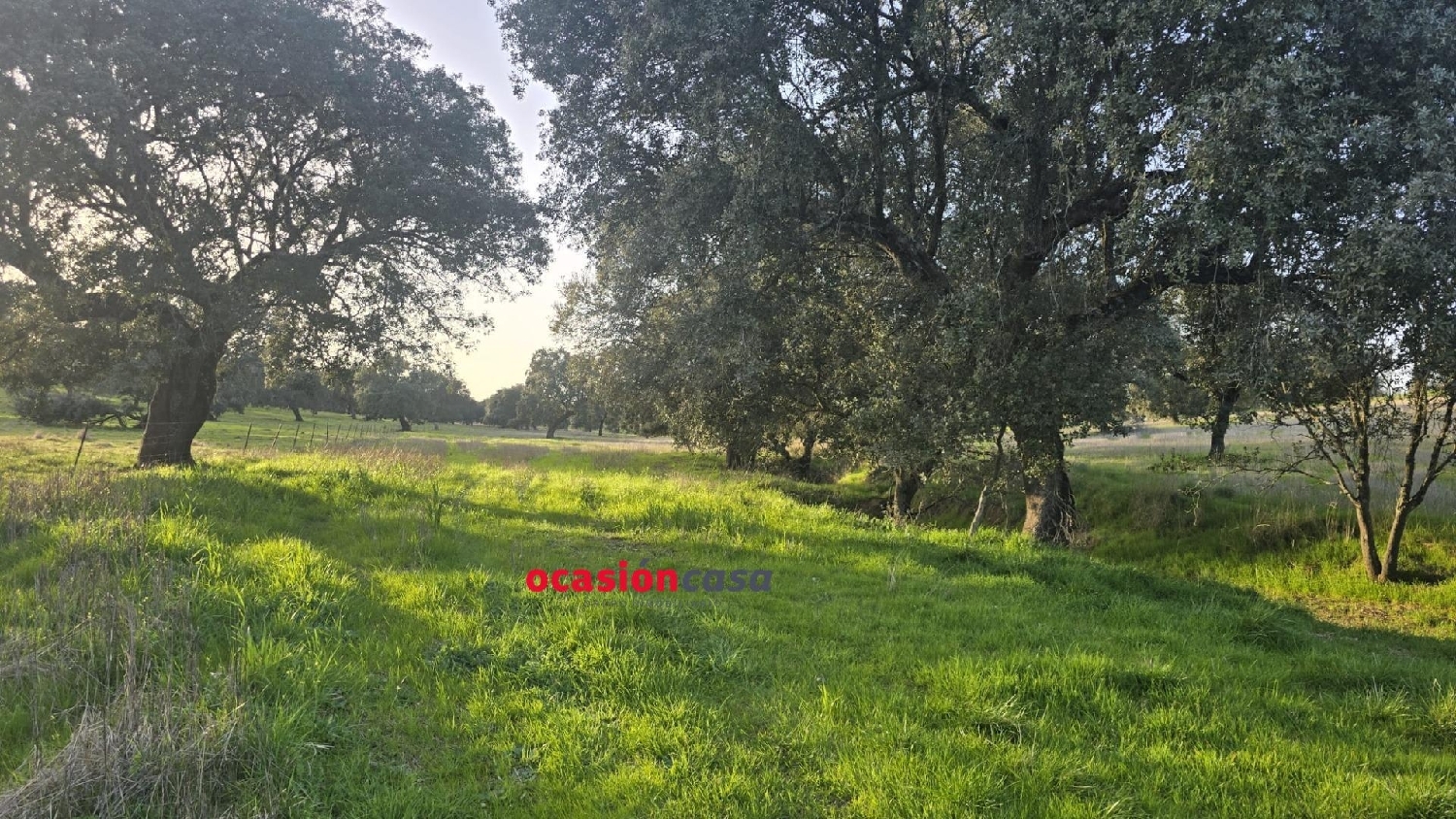  for sale country house Fuente Obejuna Valle Del Guadiato 2