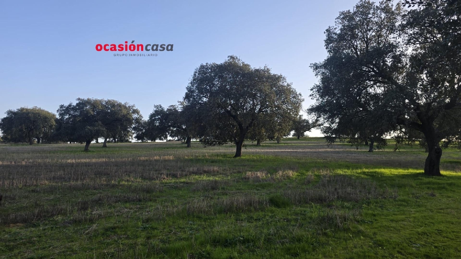  for sale country house Fuente Obejuna Valle Del Guadiato 7