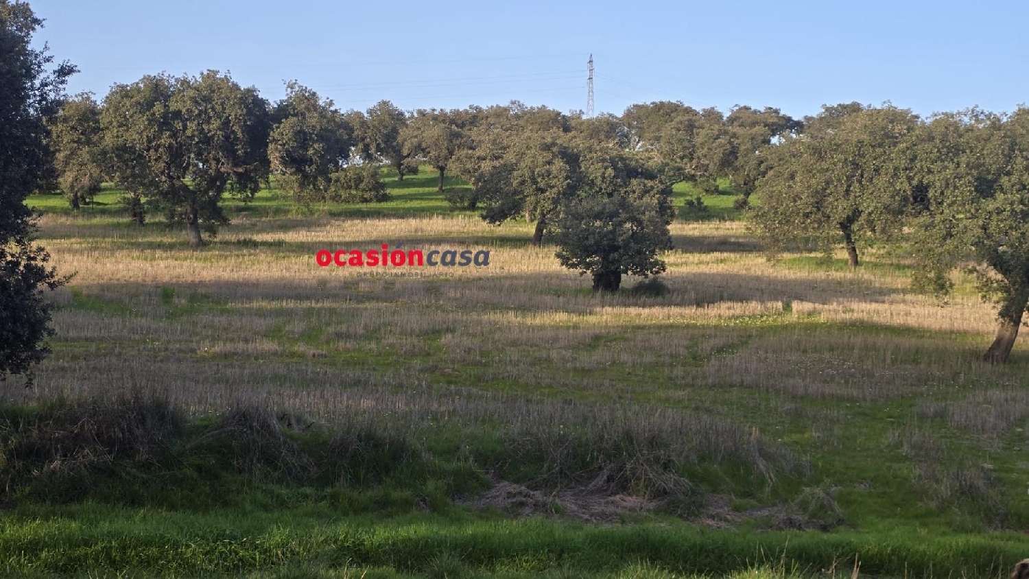  for sale country house Fuente Obejuna Valle Del Guadiato 1