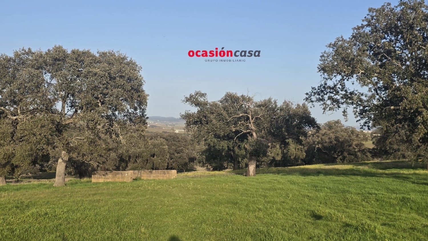  for sale country house Fuente Obejuna Valle Del Guadiato 6