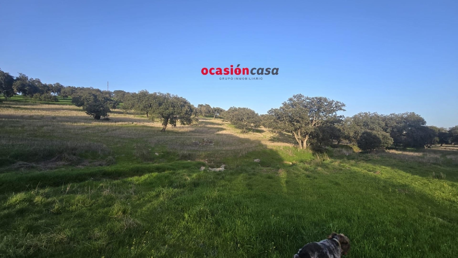  for sale country house Fuente Obejuna Valle Del Guadiato 8