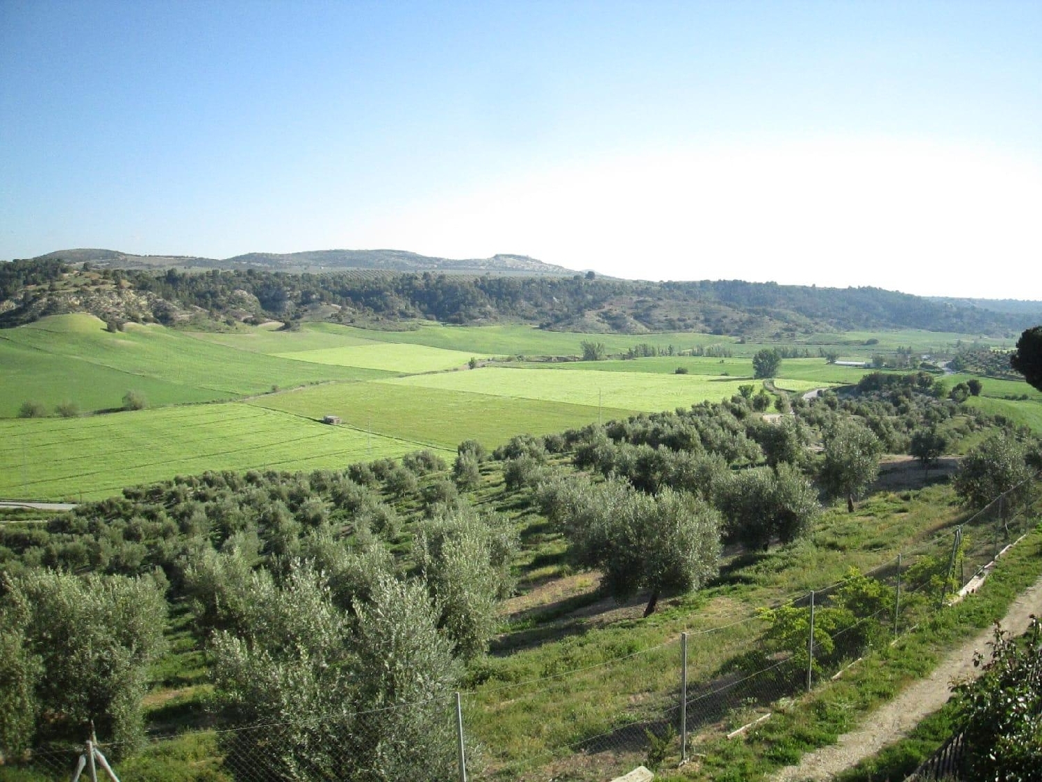  till salu hus på landet Guadahortuna Montes (Los) 7