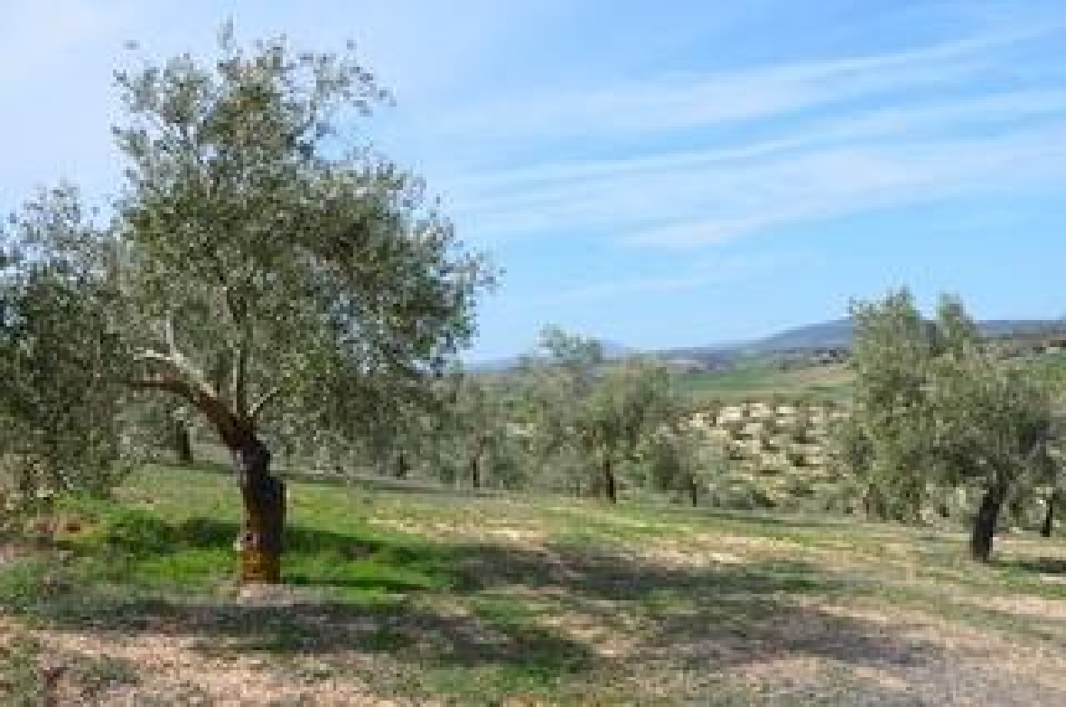  till salu hus på landet Guadahortuna Montes (Los) 8