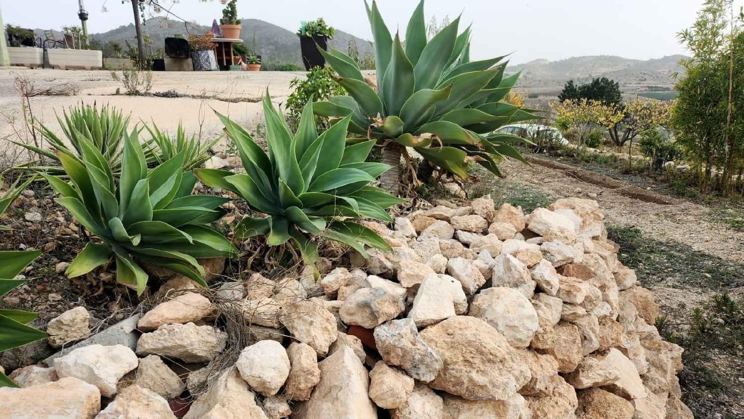  en venta finca rústica Hondón De Las Nieves Vinalopó Mitjà 7