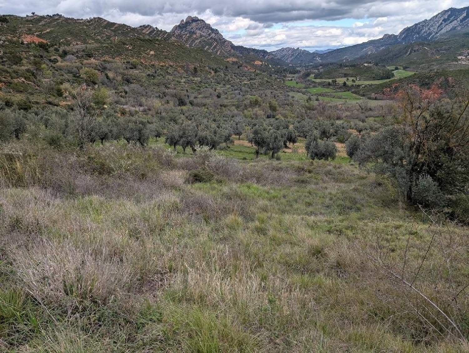  till salu hus på landet Horta De Sant Joan Terra Alta 7