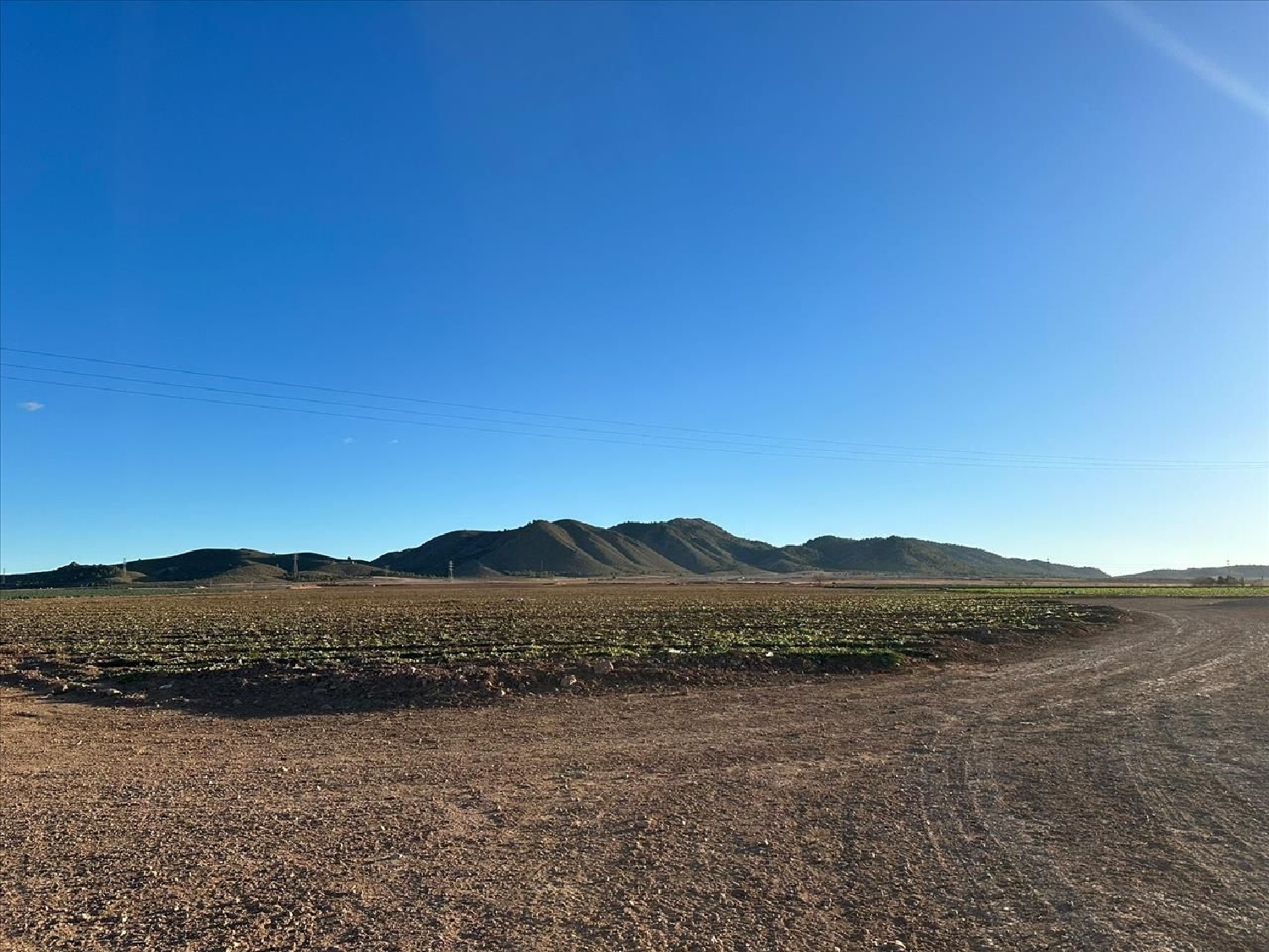 kaufen Landhaus Jumilla Altiplano 2