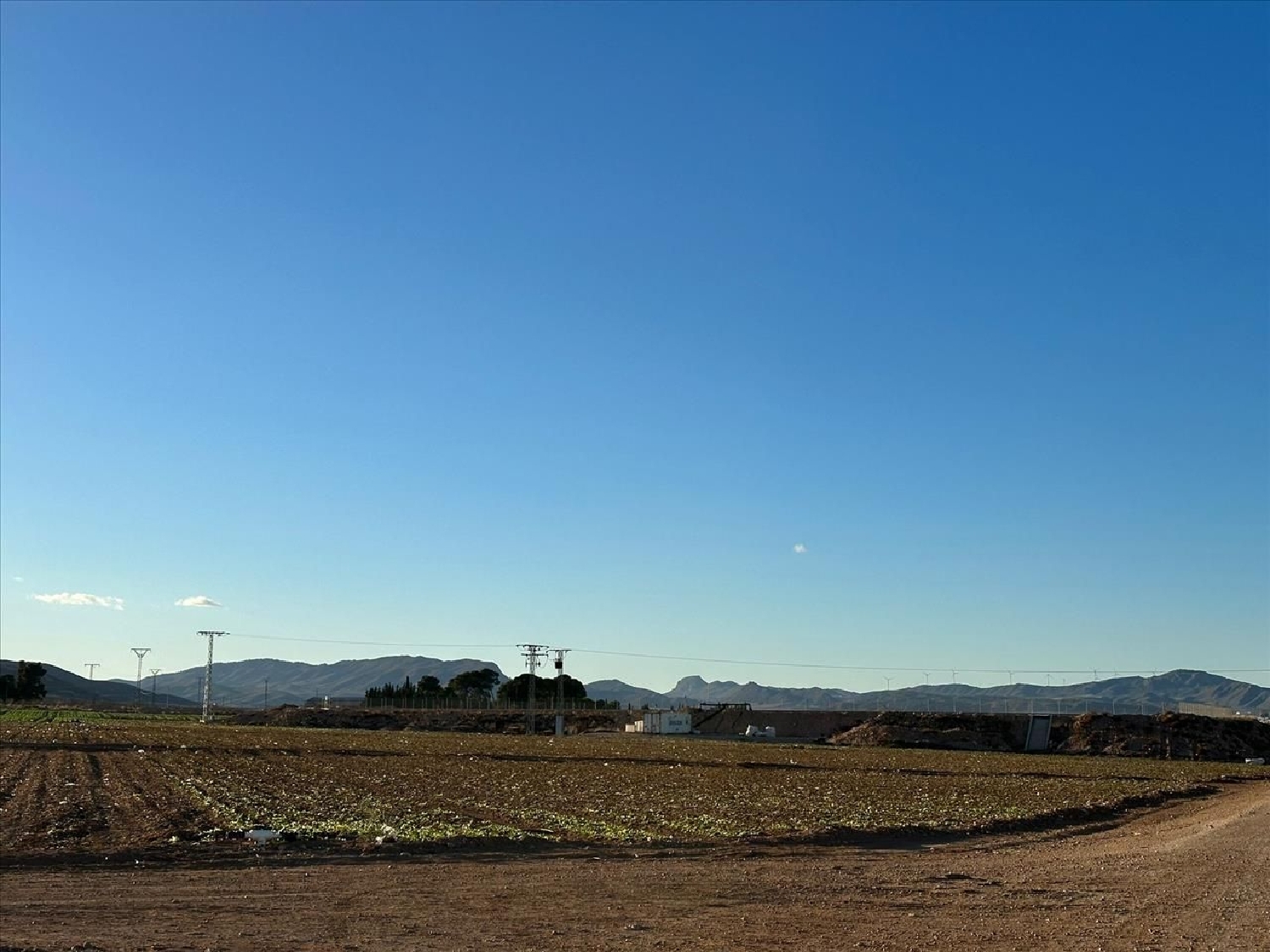 kaufen Landhaus Jumilla Altiplano 3