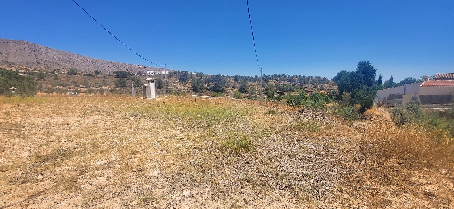  te koop boerderij La Romana Vinalopó Mitjà 22