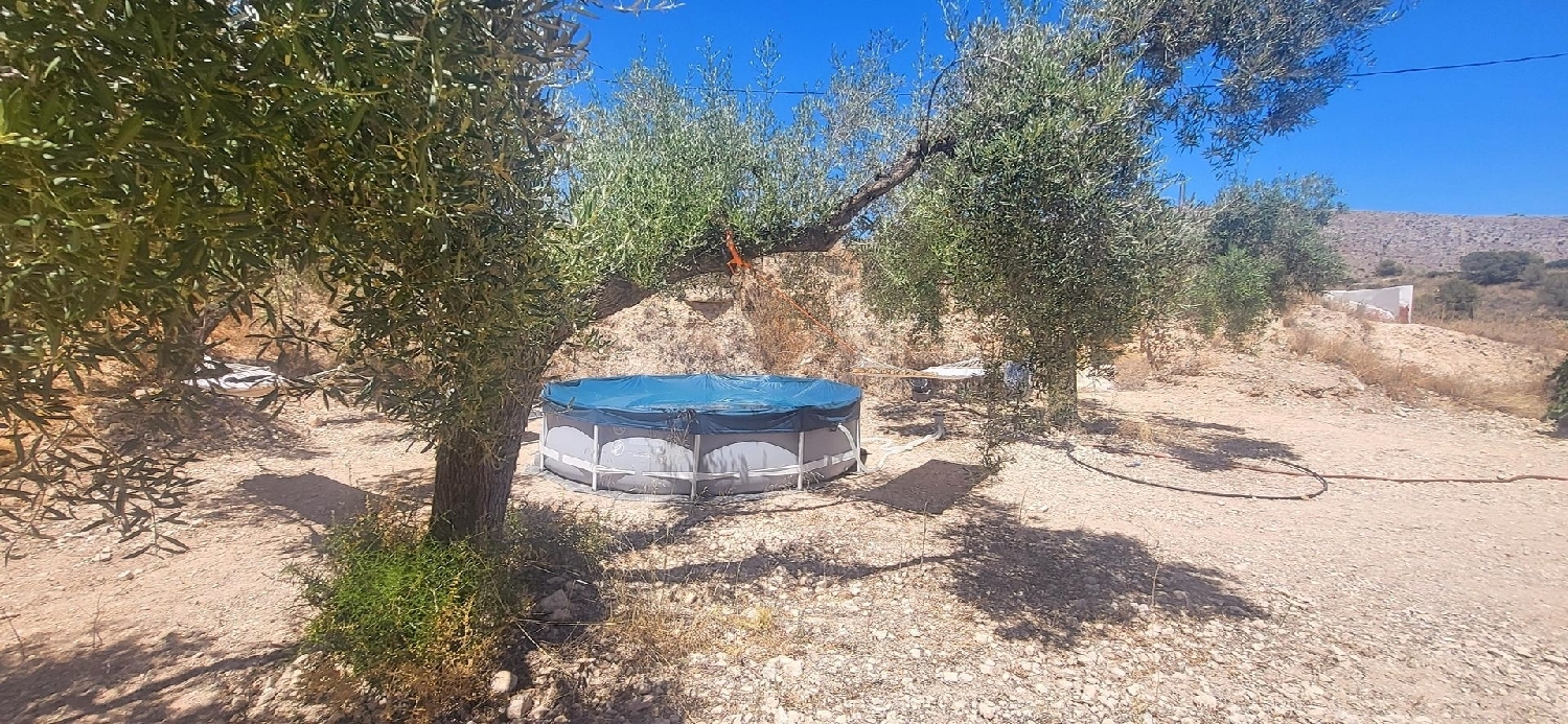  te koop boerderij La Romana Vinalopó Mitjà 19