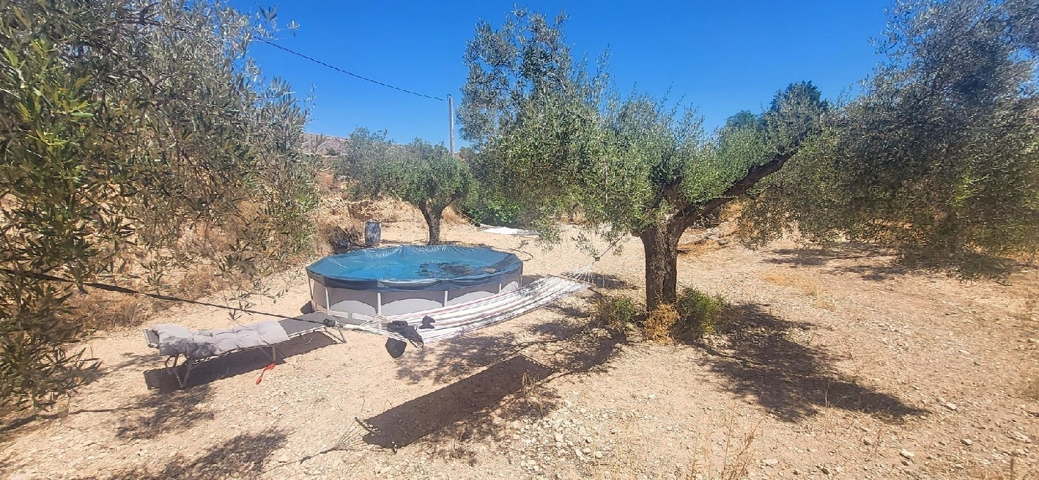  te koop boerderij La Romana Vinalopó Mitjà 17