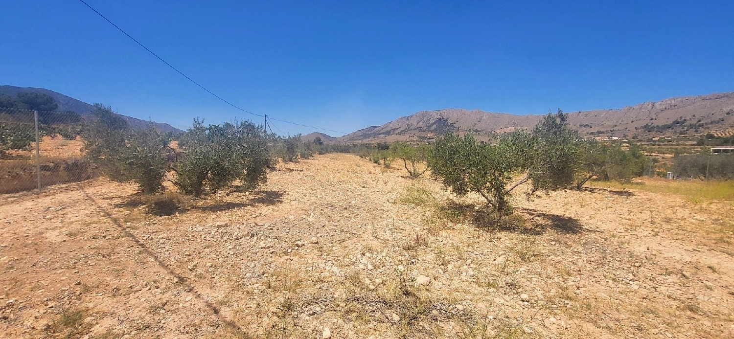  te koop boerderij La Romana Vinalopó Mitjà 24