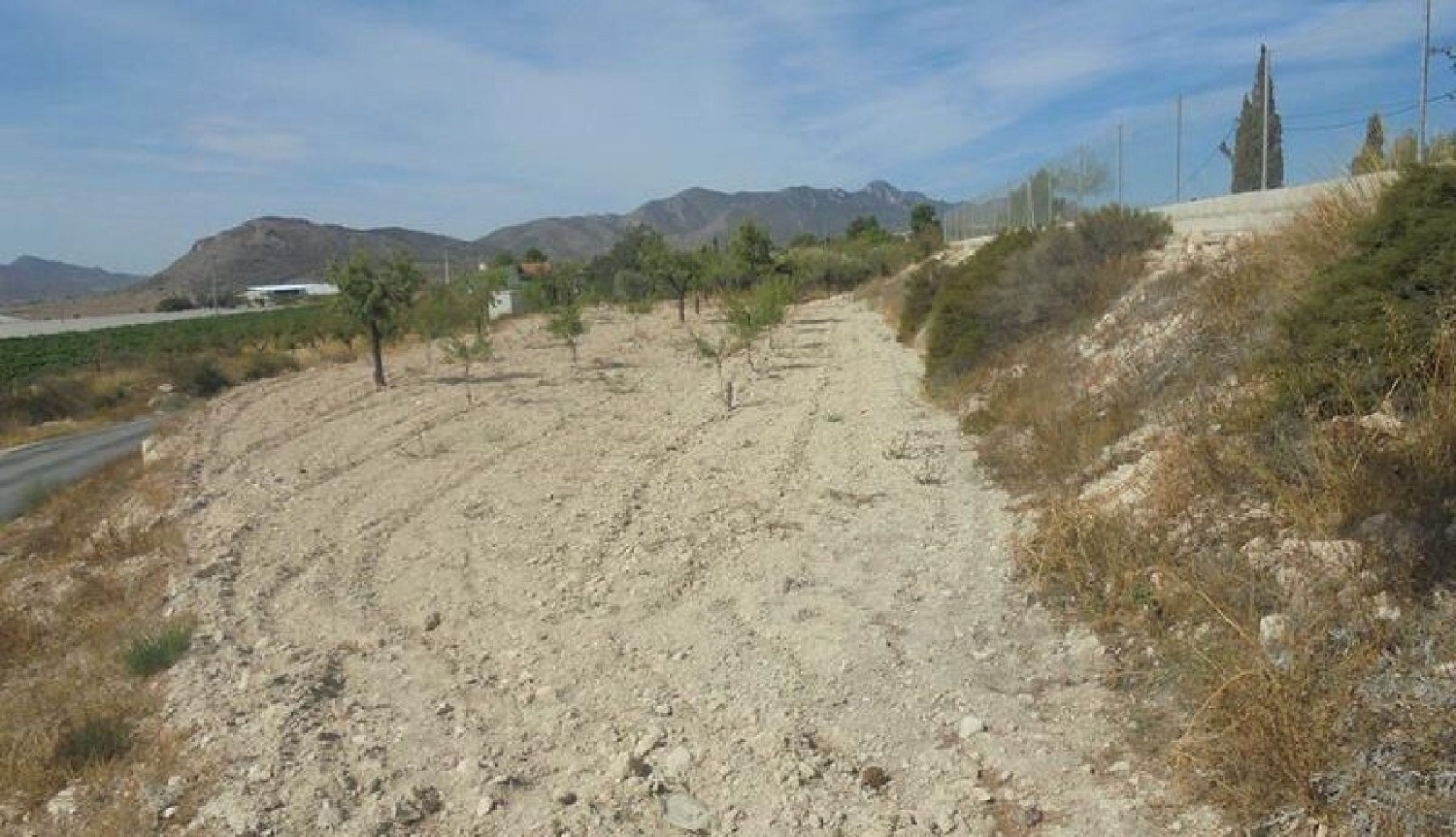  te koop boerderij La Romana Vinalopó Mitjà 11