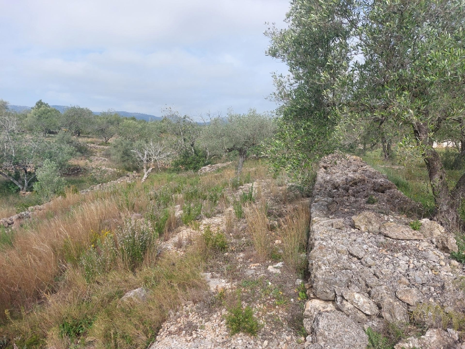  till salu hus på landet L'ametlla De Mar Baix Ebre 8