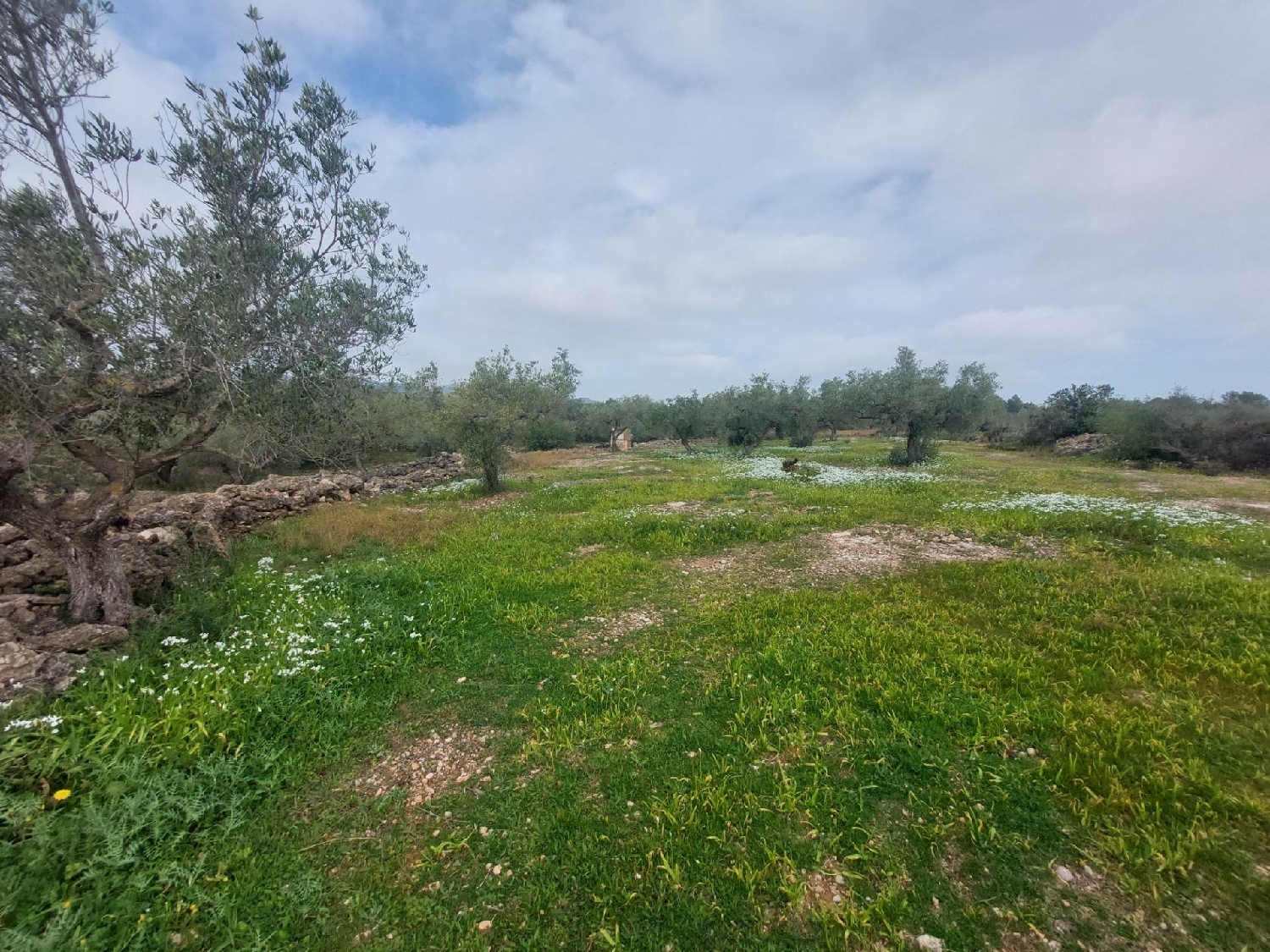  till salu hus på landet L'ametlla De Mar Baix Ebre 7