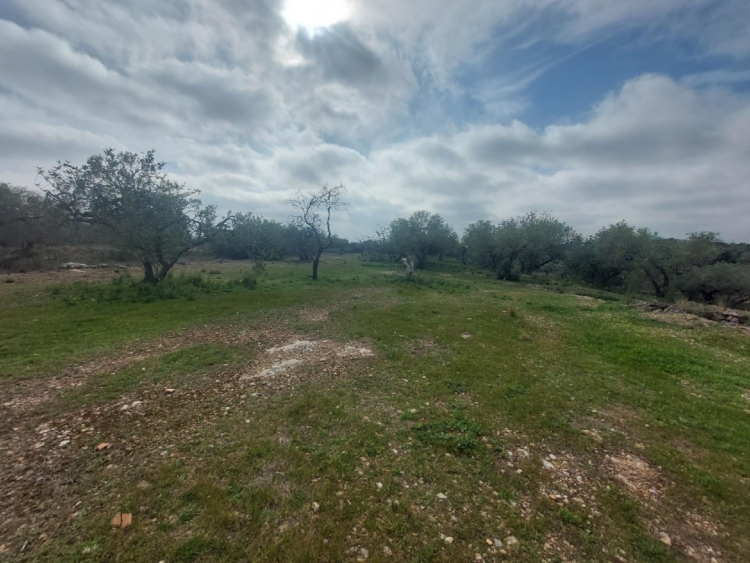  till salu hus på landet L'ametlla De Mar Baix Ebre 6