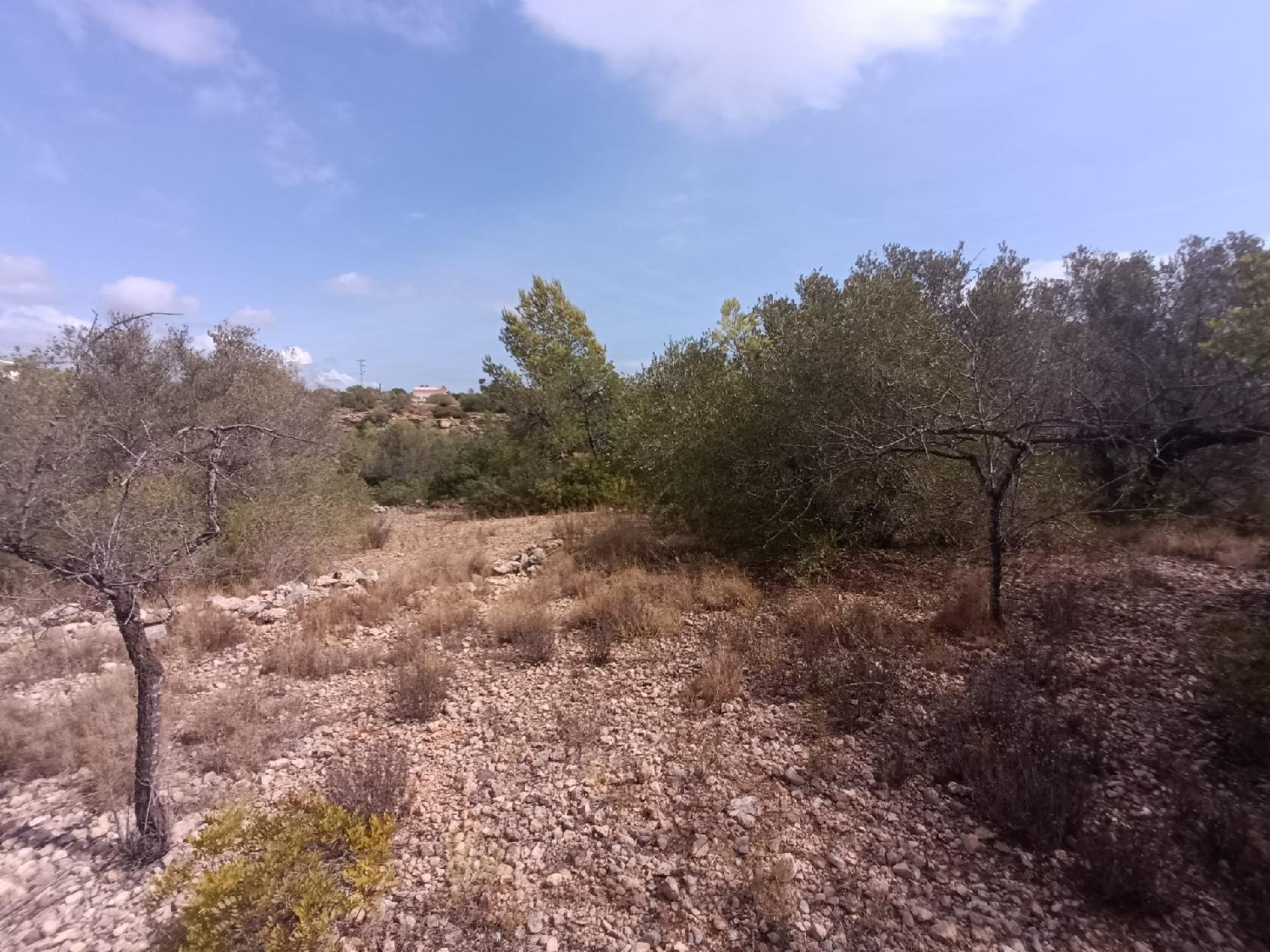  till salu hus på landet L'ametlla De Mar Baix Ebre 7
